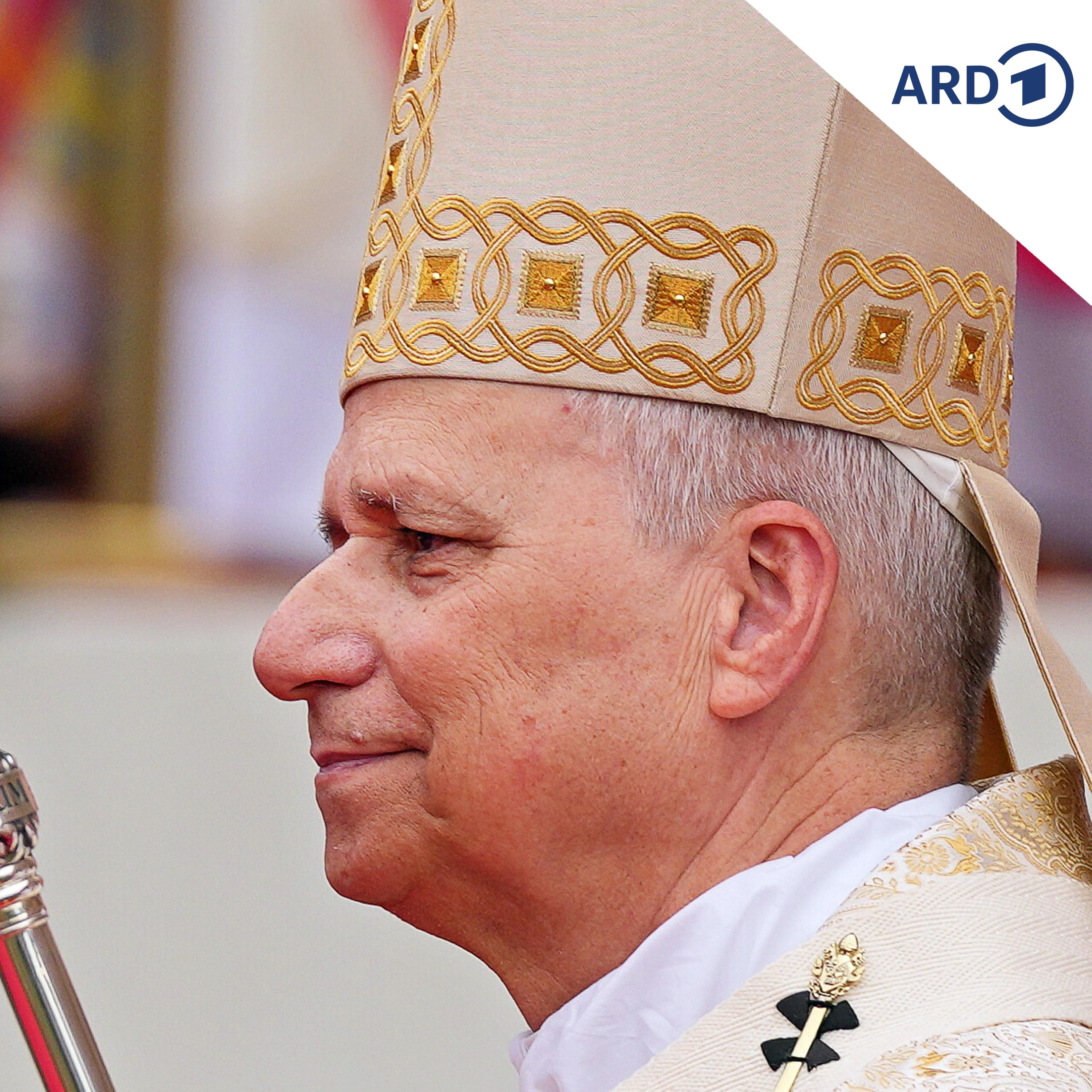 Ein Jahr Papst Leo XIV. – Gegen die Globalisierung der Ohnmacht