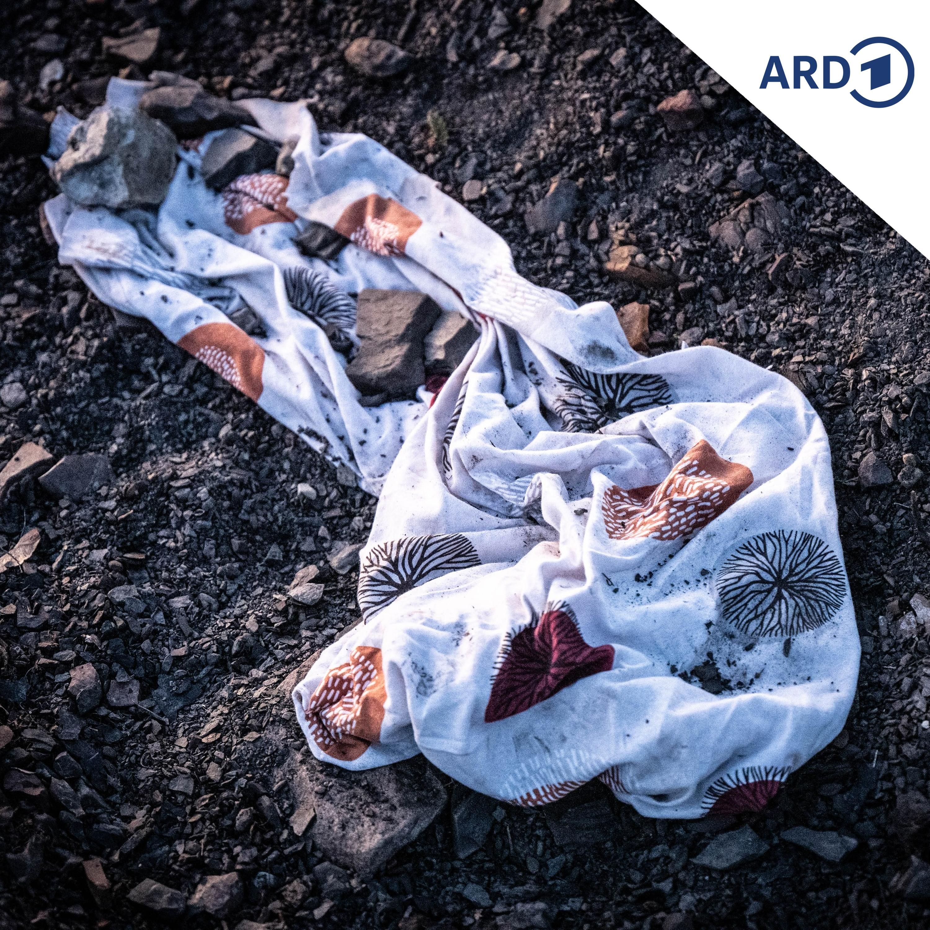 Umstrittene Spürnasen: Was Mantrail-Hunde leisten können