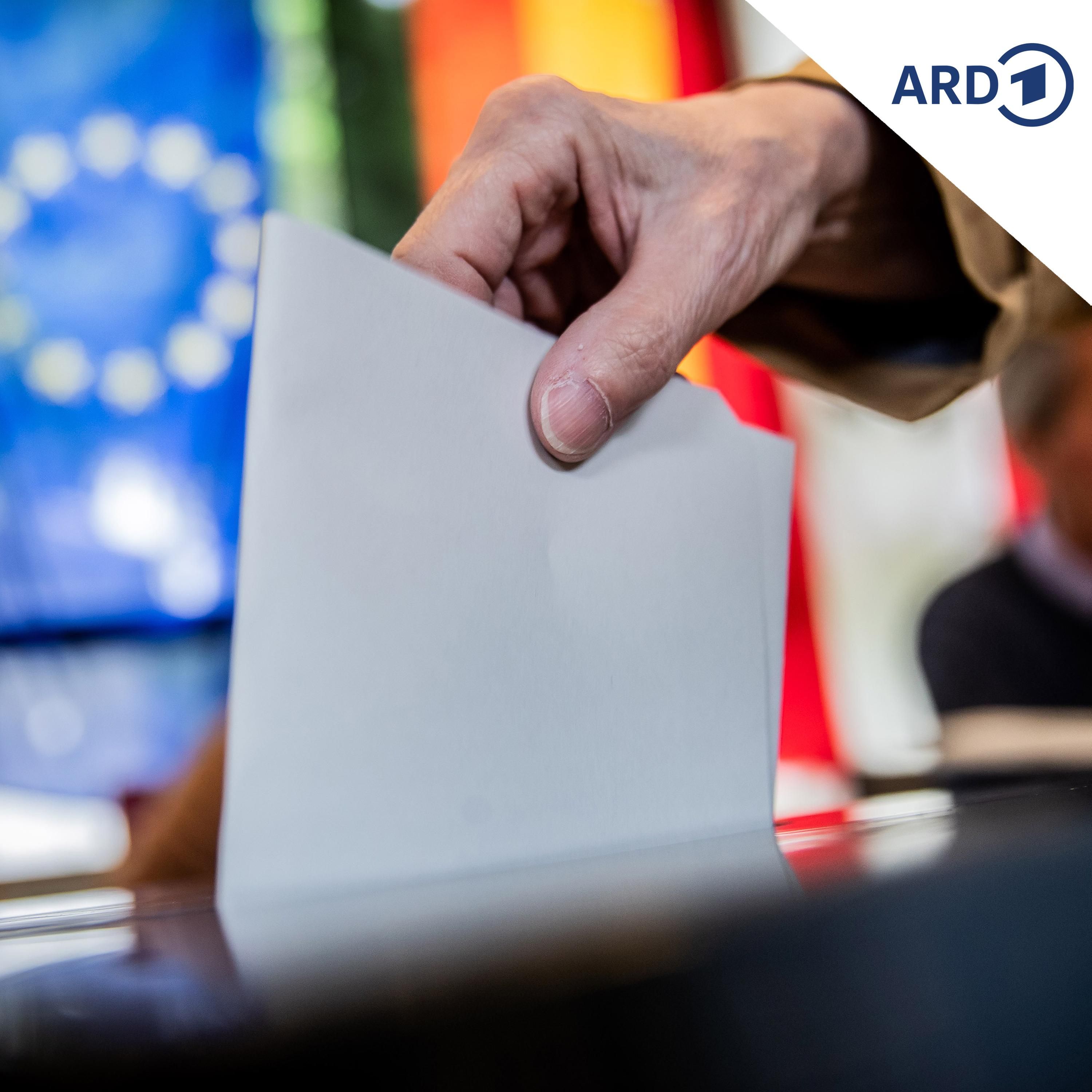 Demokratie im Selbsttest: Wie geht Beteiligung?
