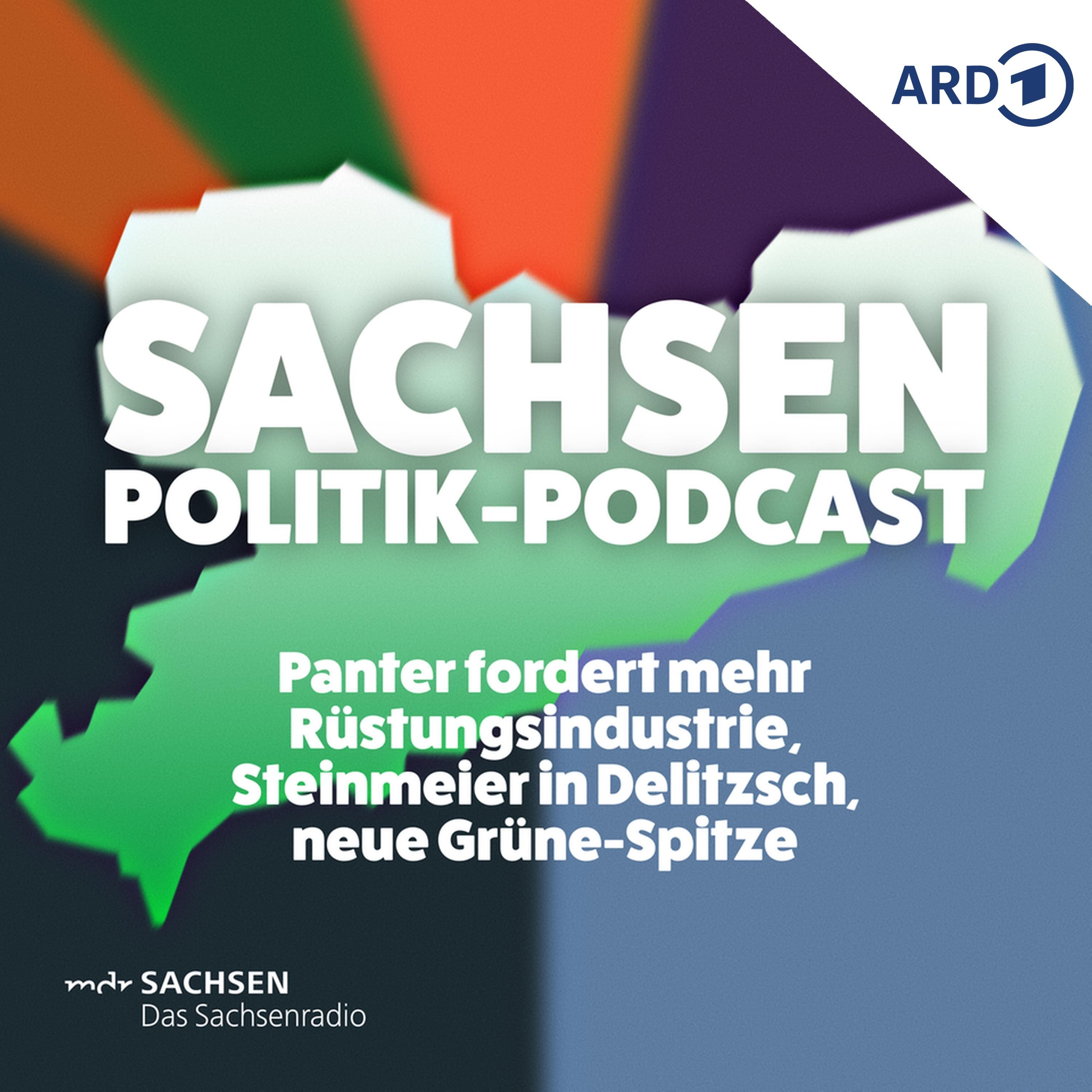 Panter fordert mehr Rüstungsindustrie, Steinmeier in Delitzsch, neue Grüne-Spitze
