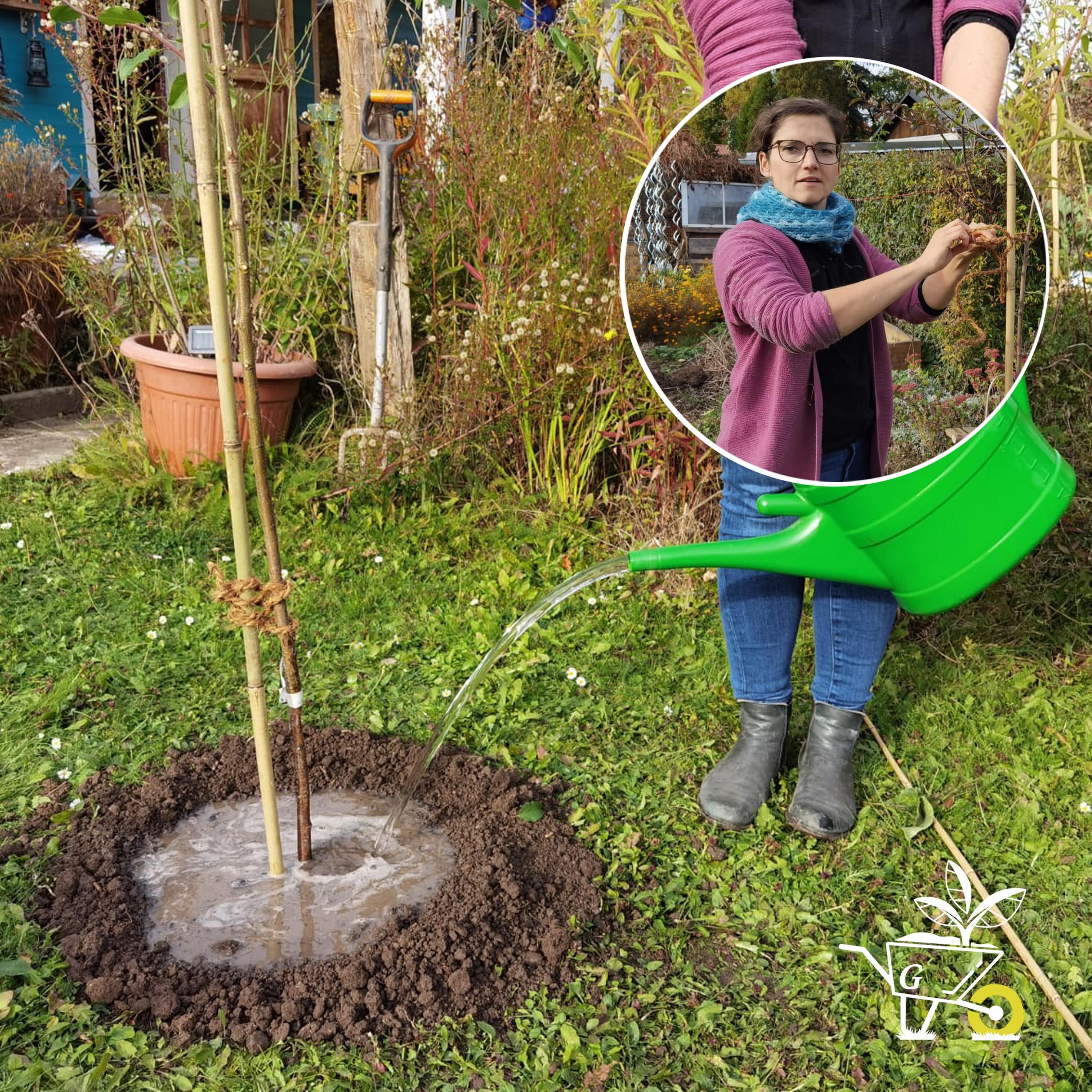 #19: Einen Baum im Herbst pflanzen