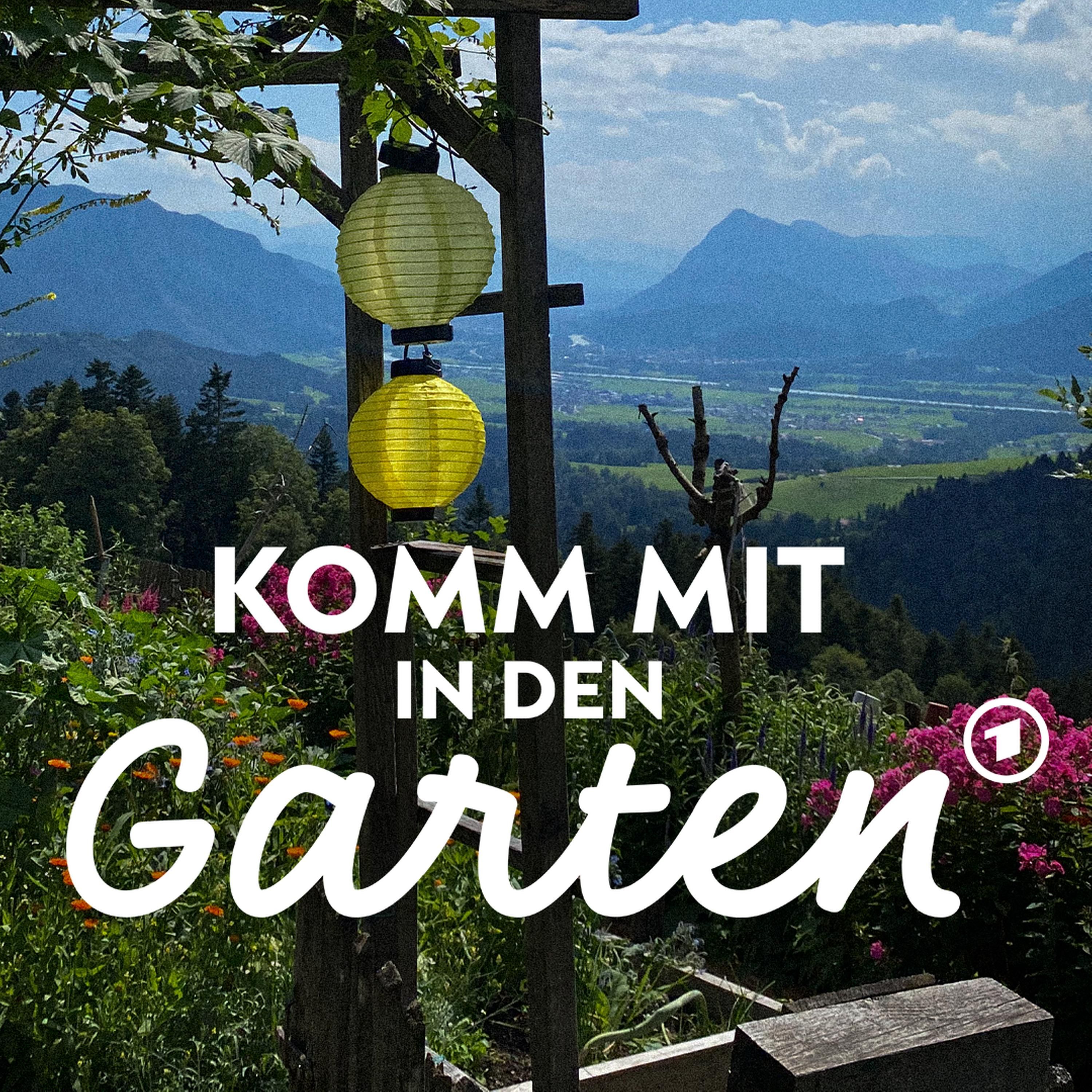 Garten in hohen und kühlen Lagen: Was wächst wo am besten?