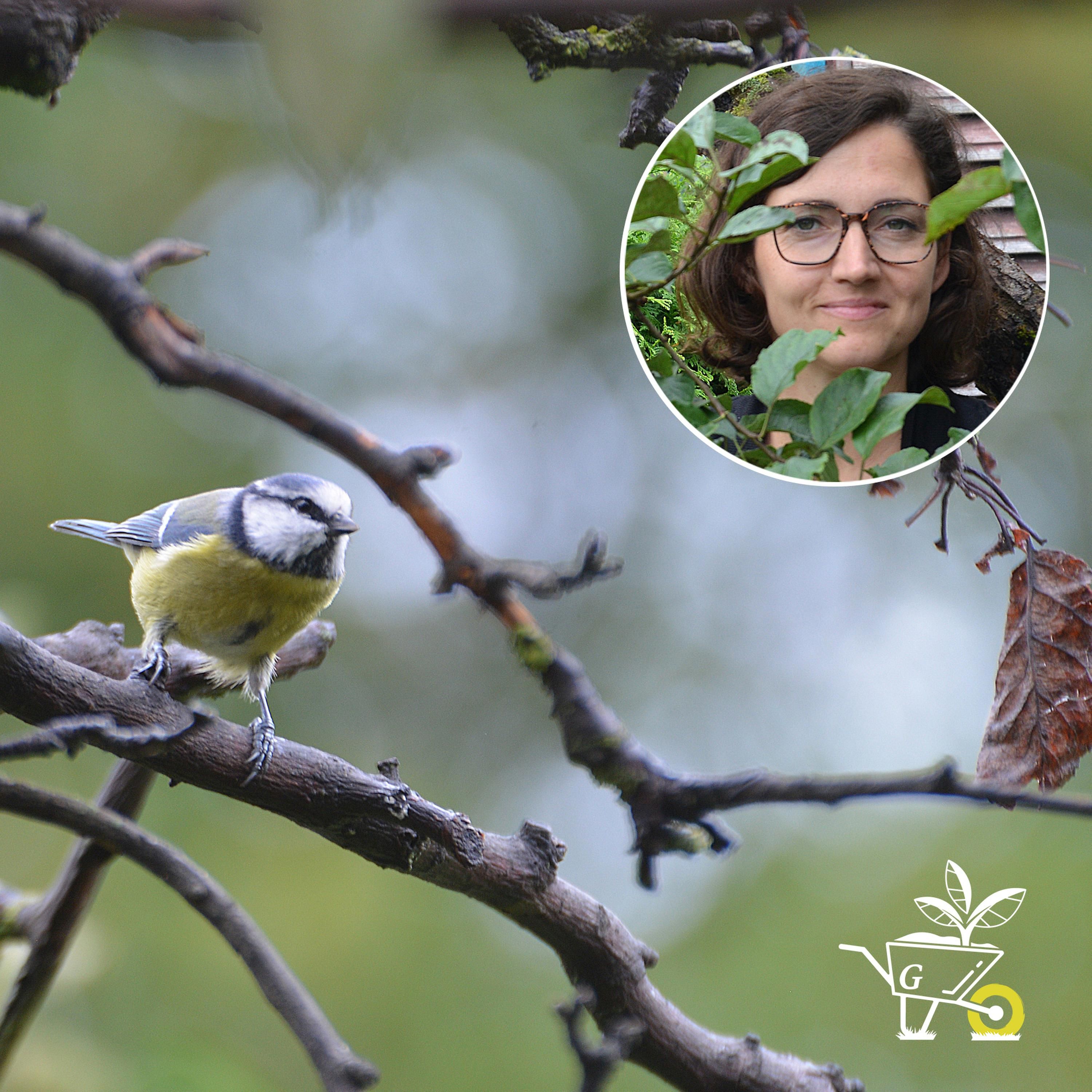 #18: Vögel im Garten richtig füttern