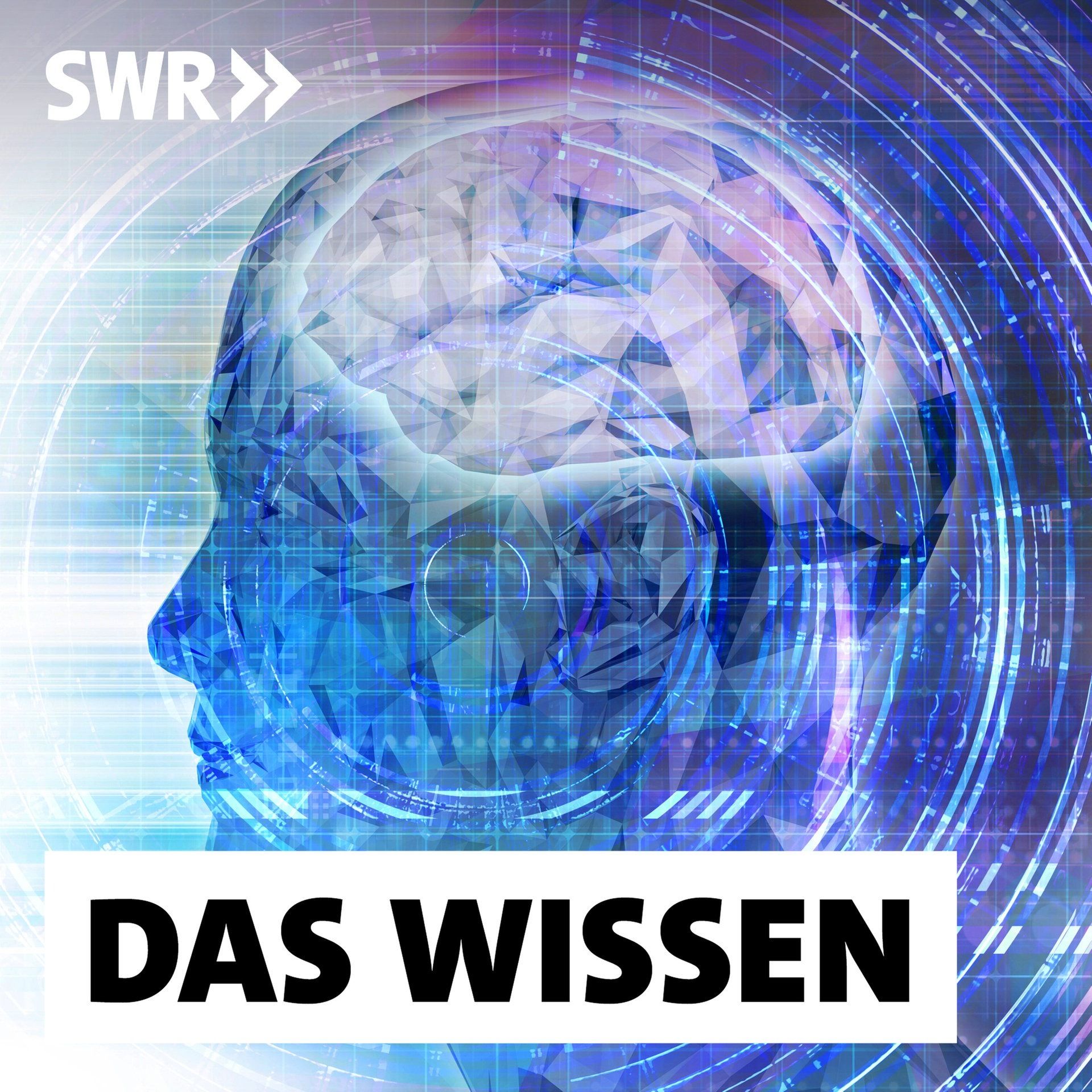 Die Kraft der Gedanken – Was können Gehirn-Computer-Schnittstellen?