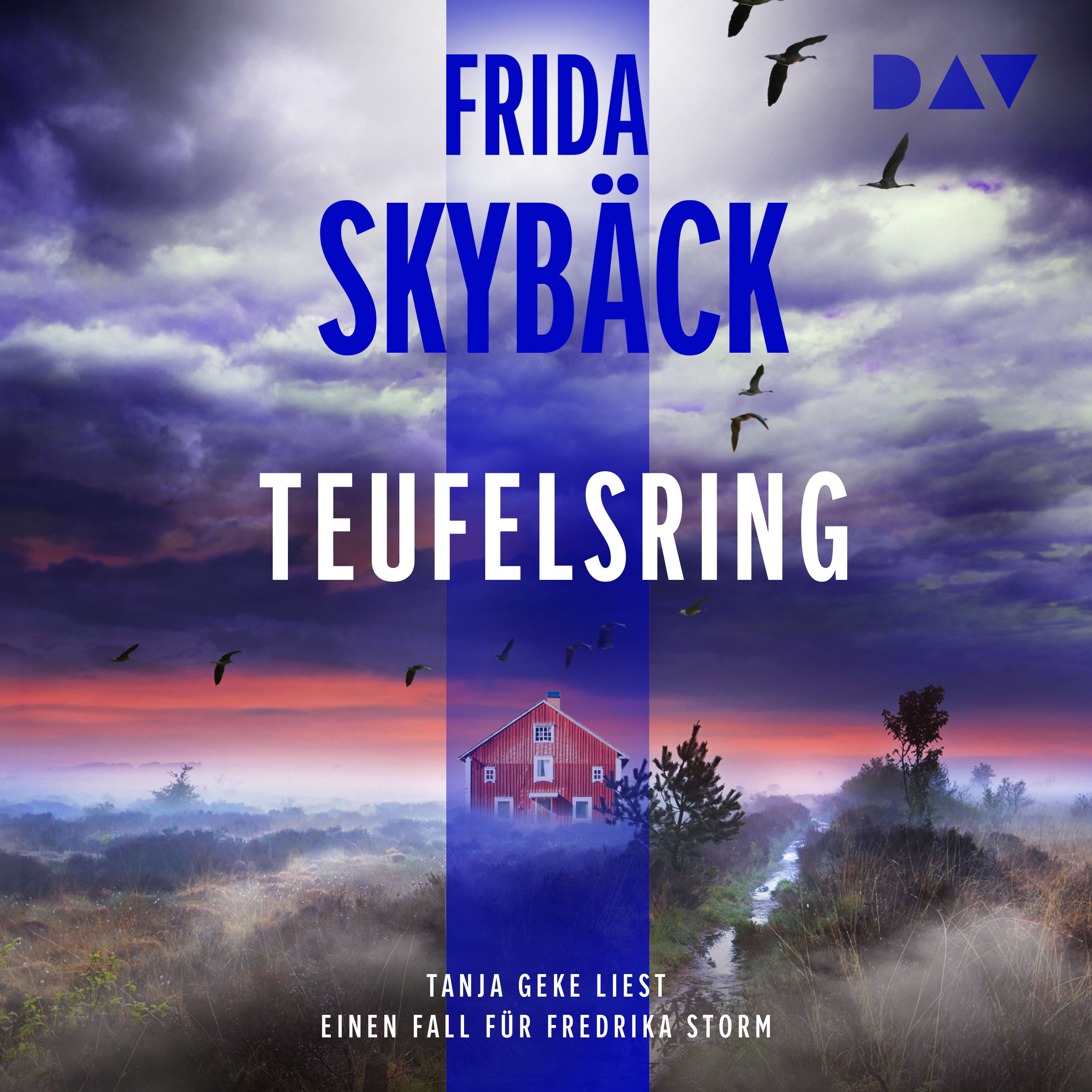Teufelsring. Ein Fall für Fredrika Storm