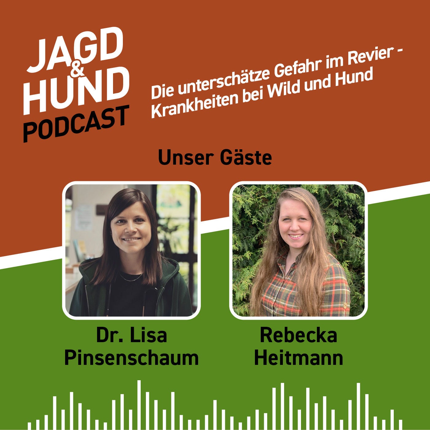 Die unterschätze Gefahr im Revier - Krankheiten bei Wild und Hund
