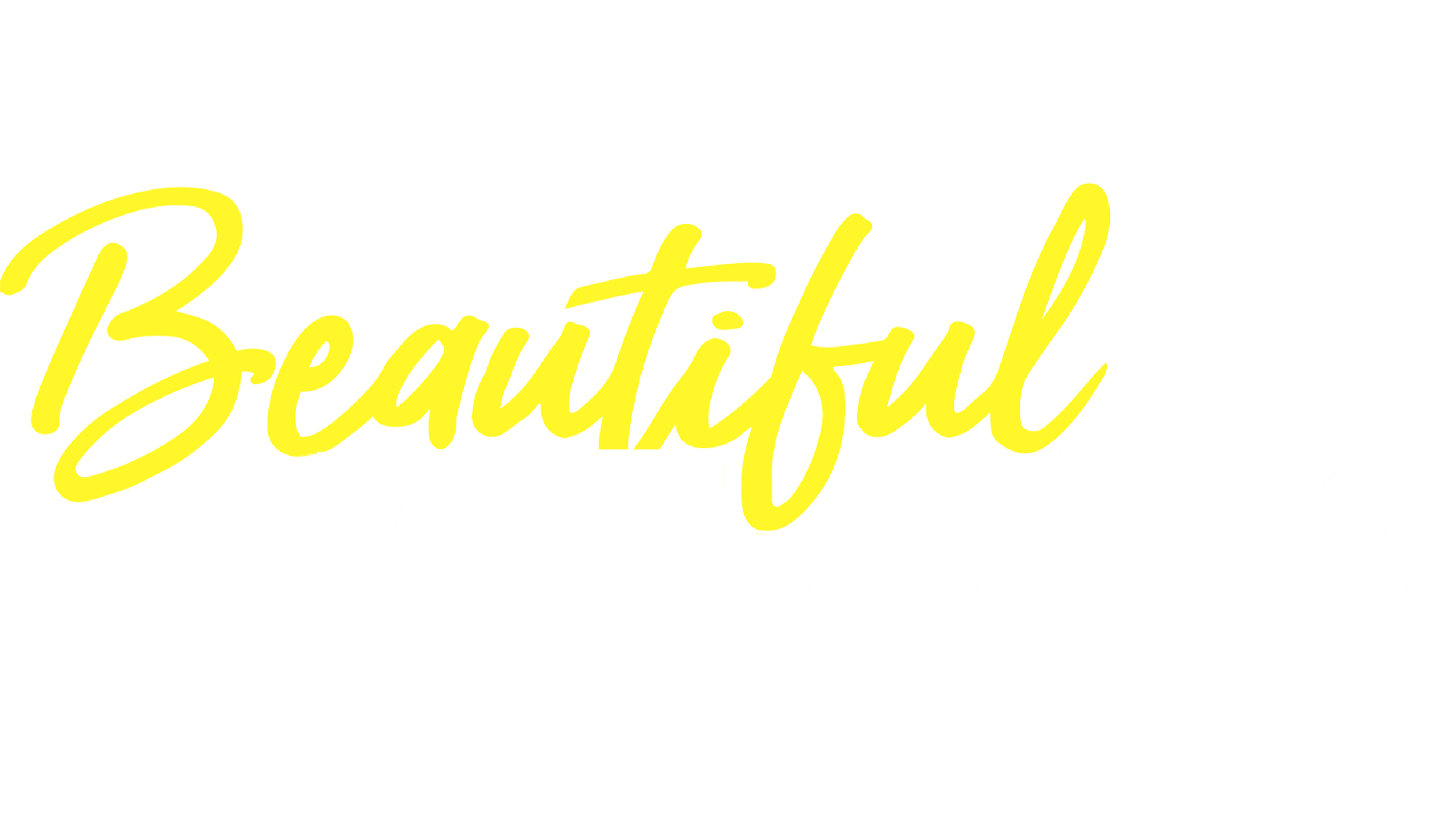 Beautiful Wedding