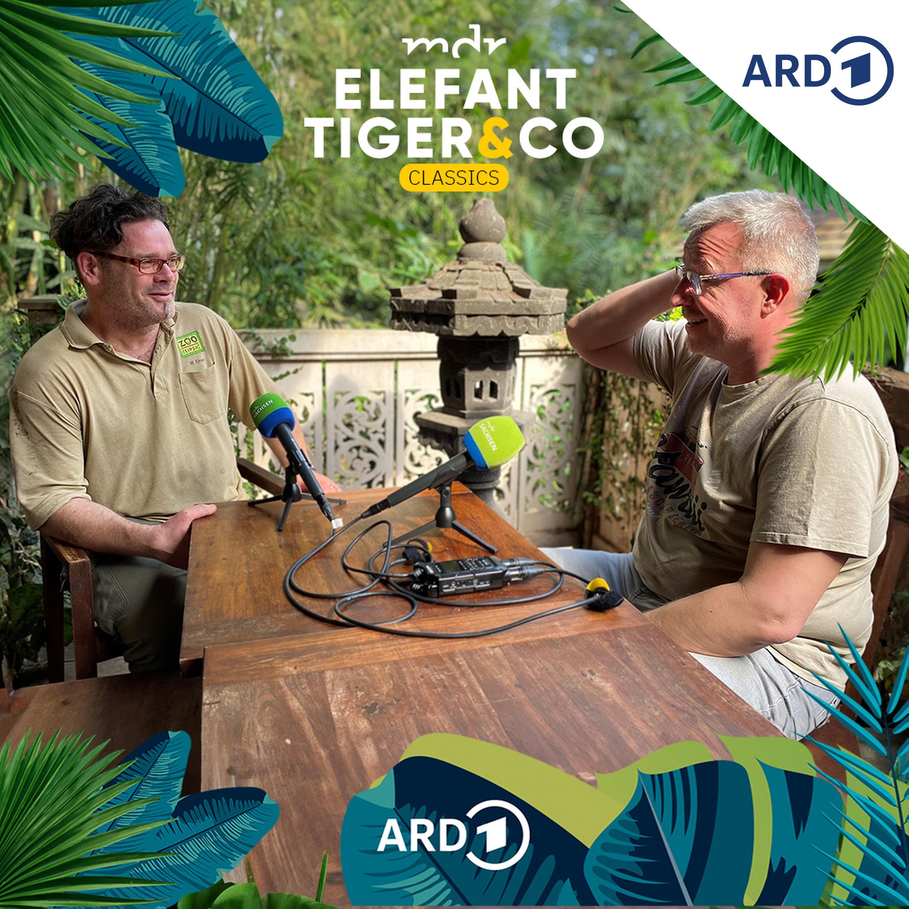 ETC-Classics - mit Bereichsleiter Michael Ernst vom Gondwanaland
