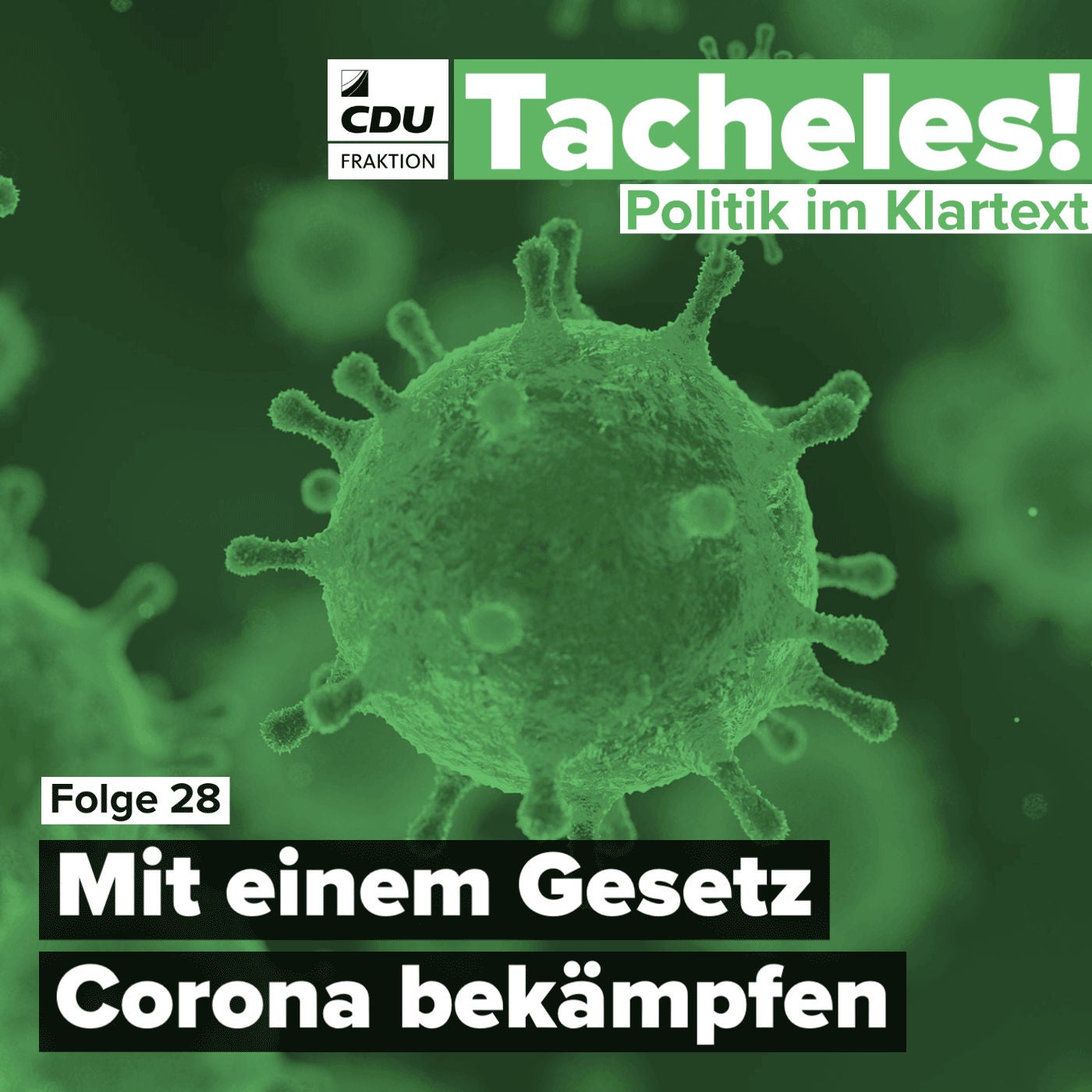 Mit einem Gesetz Corona bekämpfen