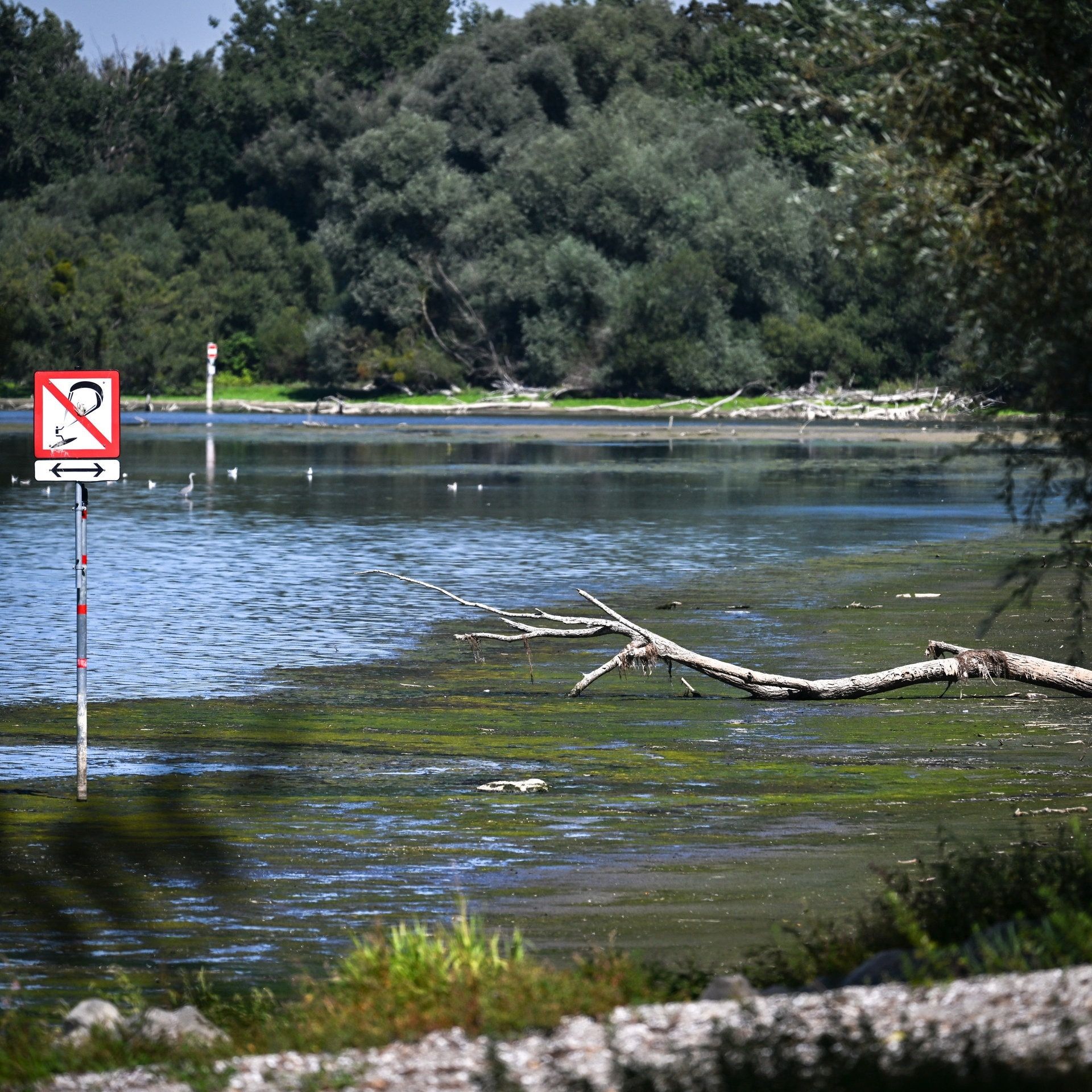 Das Wasser wird knapp – Regionen reagieren auf Trockenheit