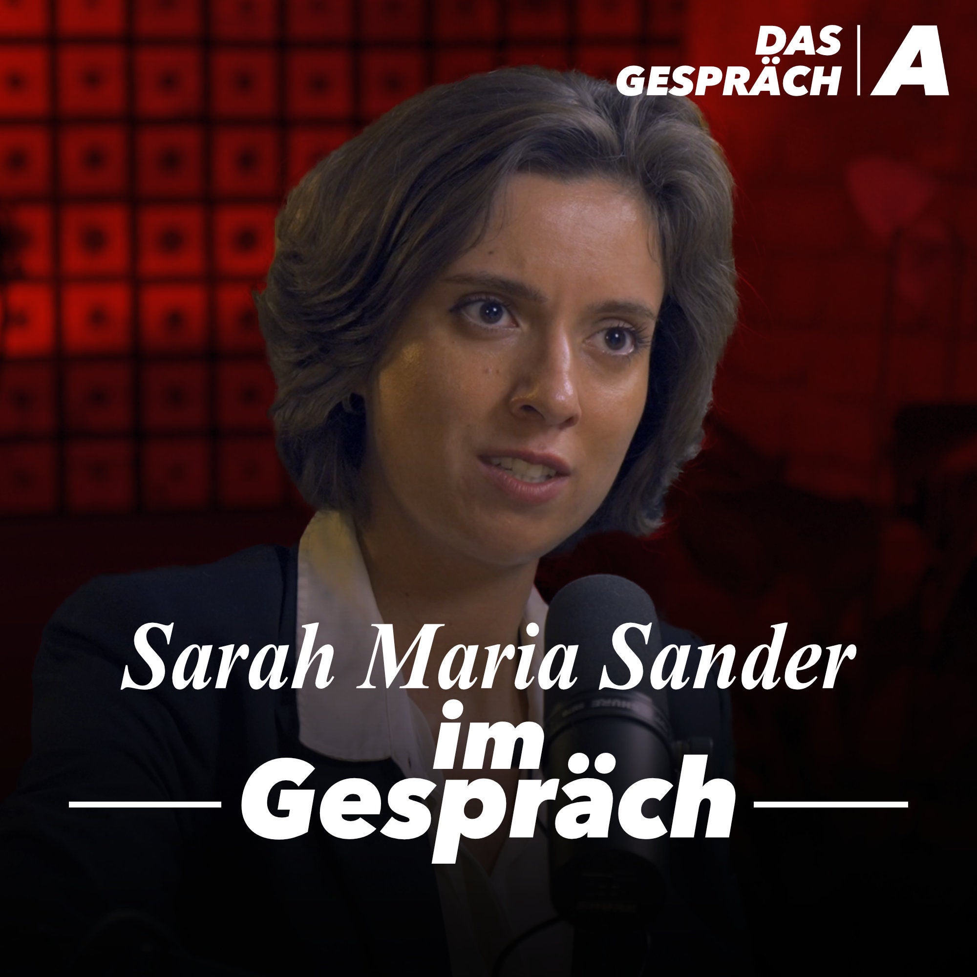 „In der Kulturszene hat der Israel-Hass übernommen“ – Sarah Maria Sander im Gespräch