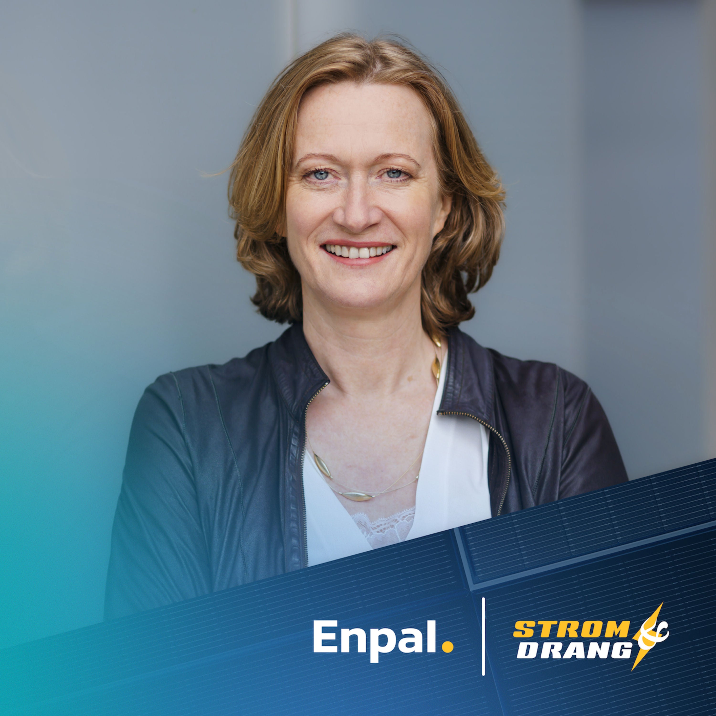 Warum ist Strom so teuer, Kerstin Andreae?