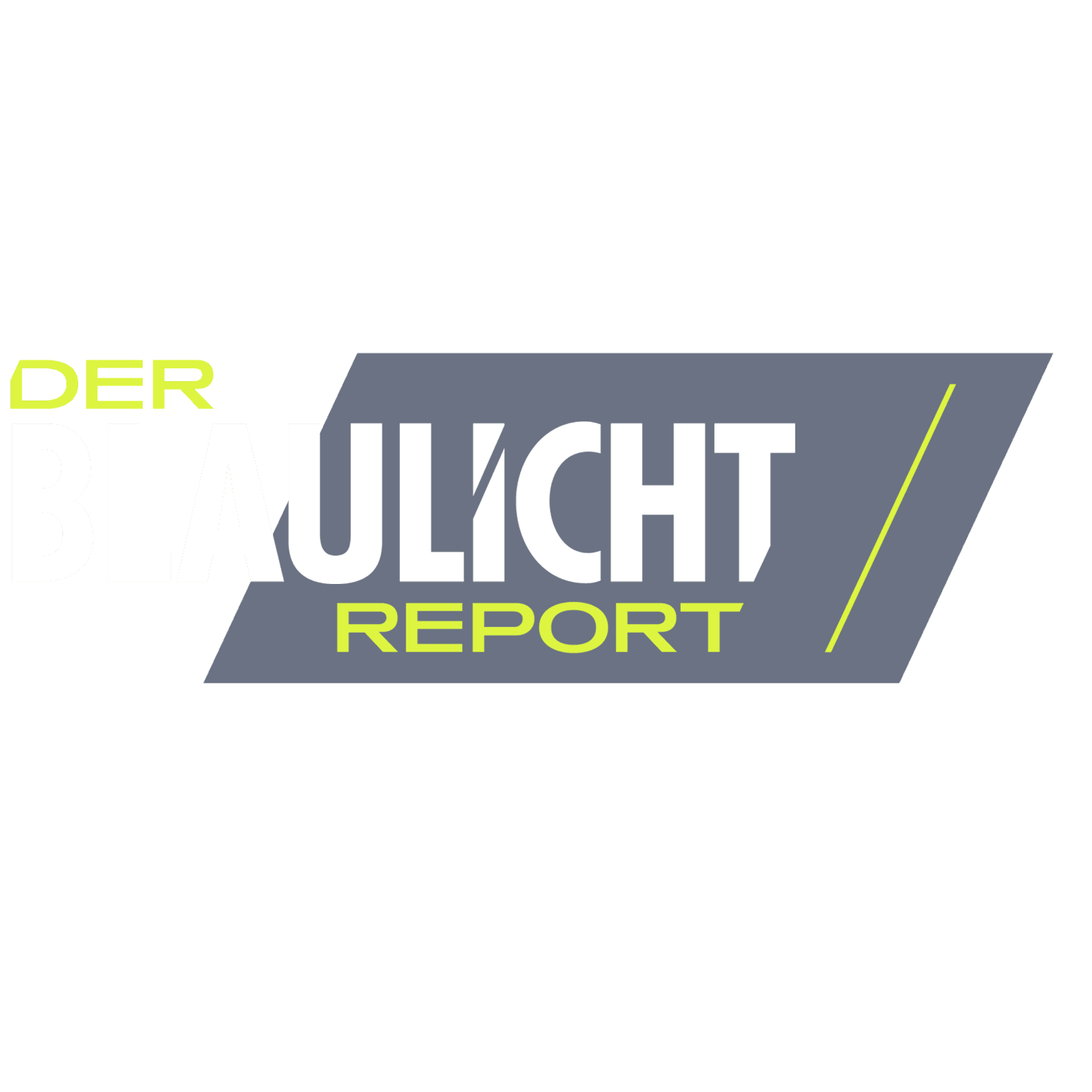 Der Blaulicht Report - Einzeleinsätze