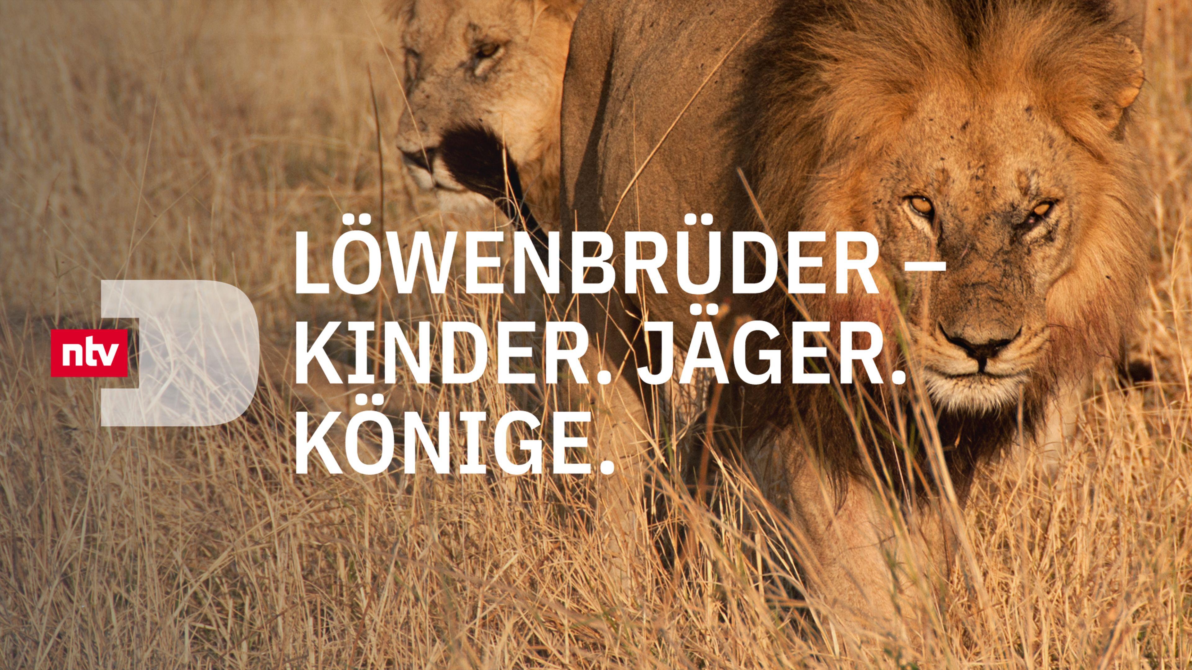 Löwenbrüder - Kinder. Jäger. Könige.