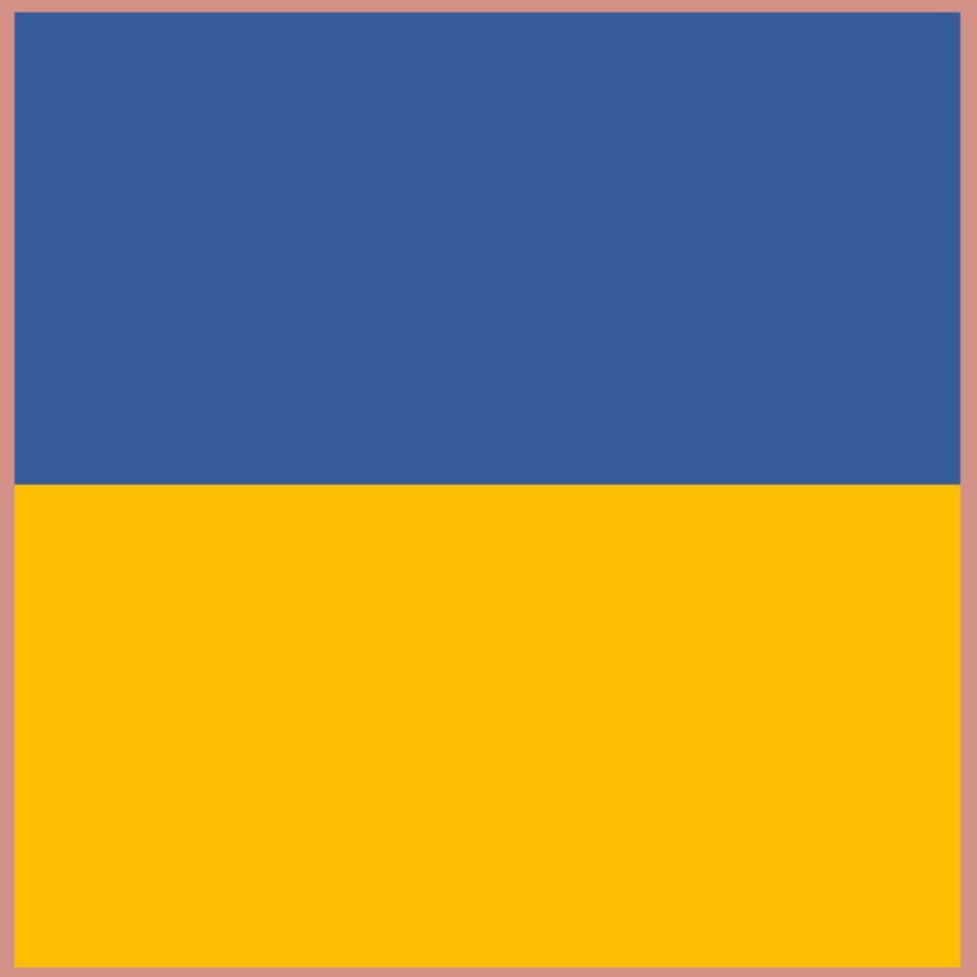 #132 Frauen im Krieg gegen die Ukraine – Widerstand, Öffentlichkeit und Solidarität