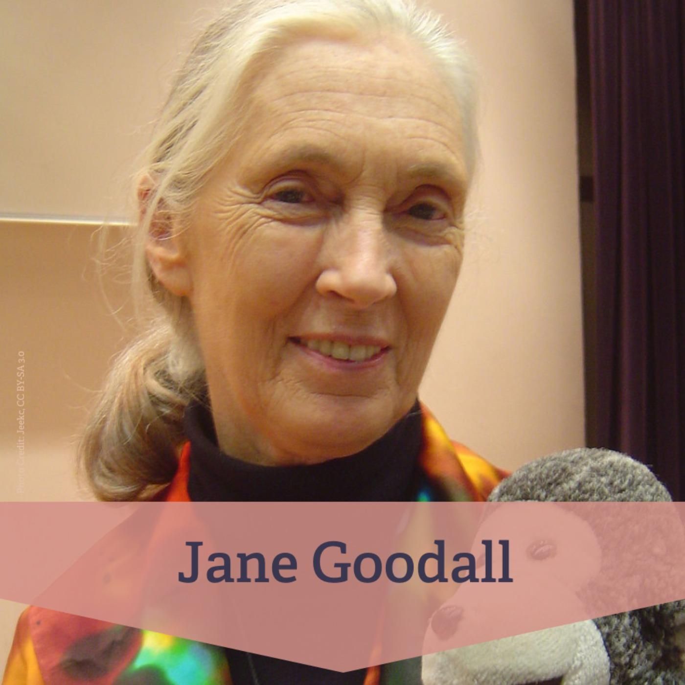Jane Goodall – Forscherin der Schimpansen, Stimme für eine verletzliche Welt I Re-Listen