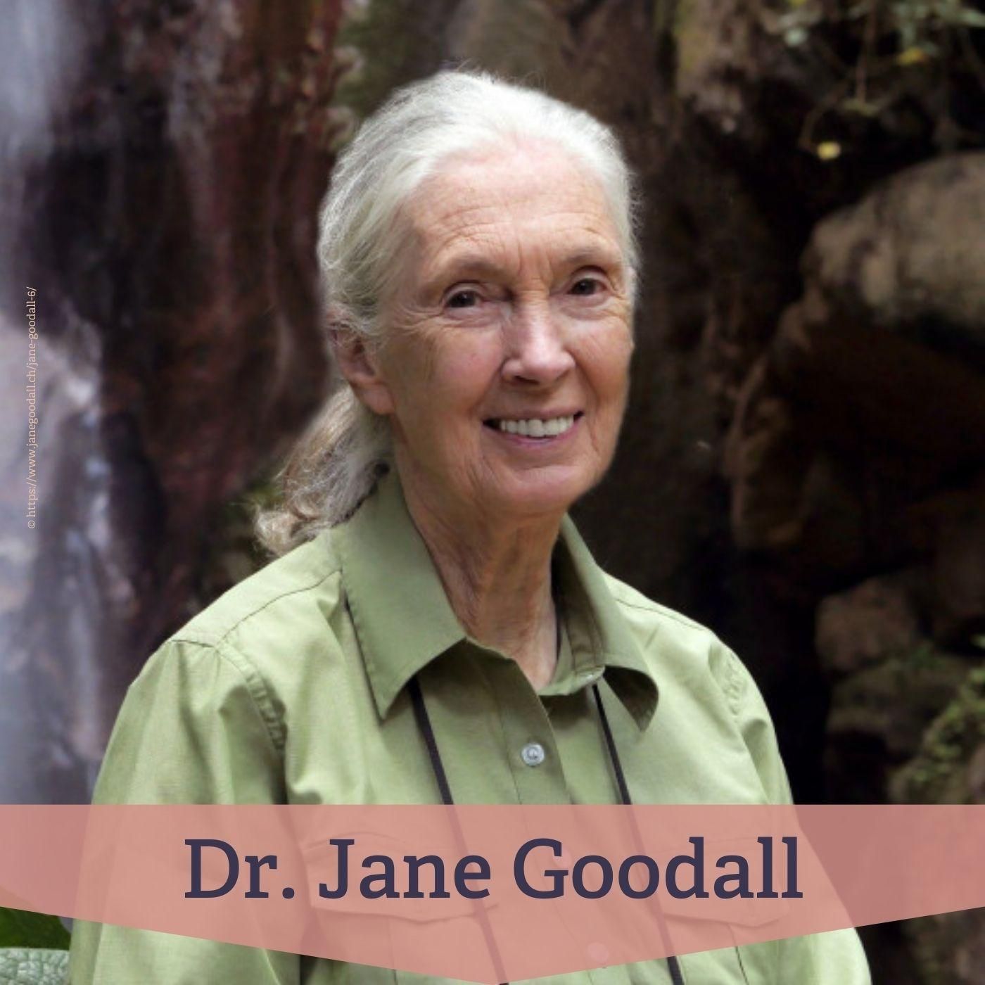 #24 Dr. Jane Goodall – Pionierin der Primatologie und neue Sicht auf Tiere