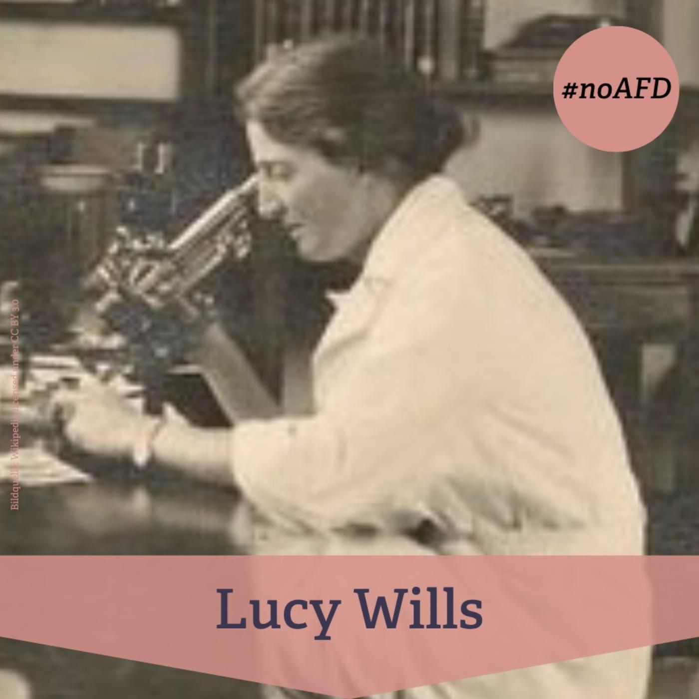 #262 Lucy Wills – Medizinerin und Entdeckerin des Wills-Faktors