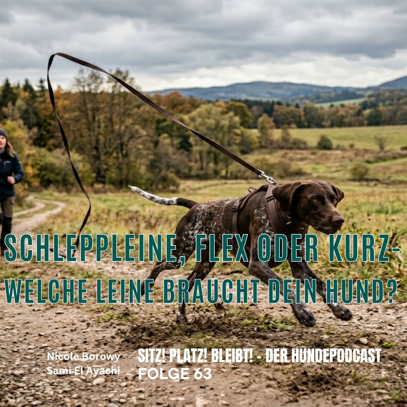 #63 Schleppleine, Flex oder kurze Leine - Welche ist die Richtige?
