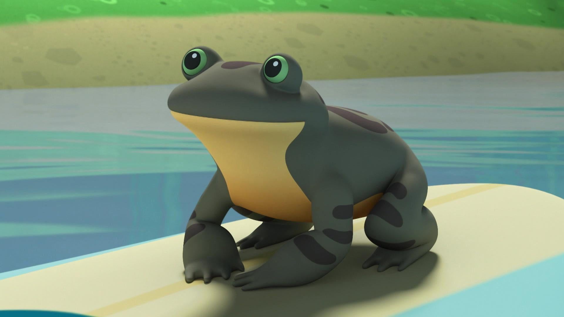 Der einsame Frosch