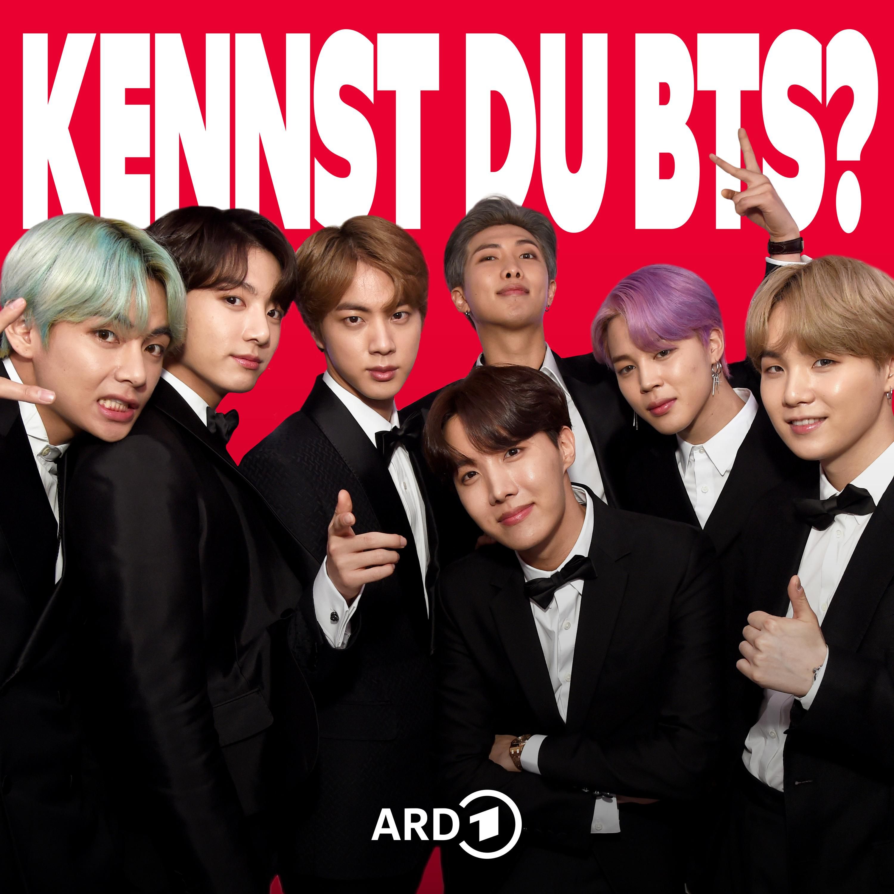 Kennst du BTS? Eine Band aus Korea verändert die Welt