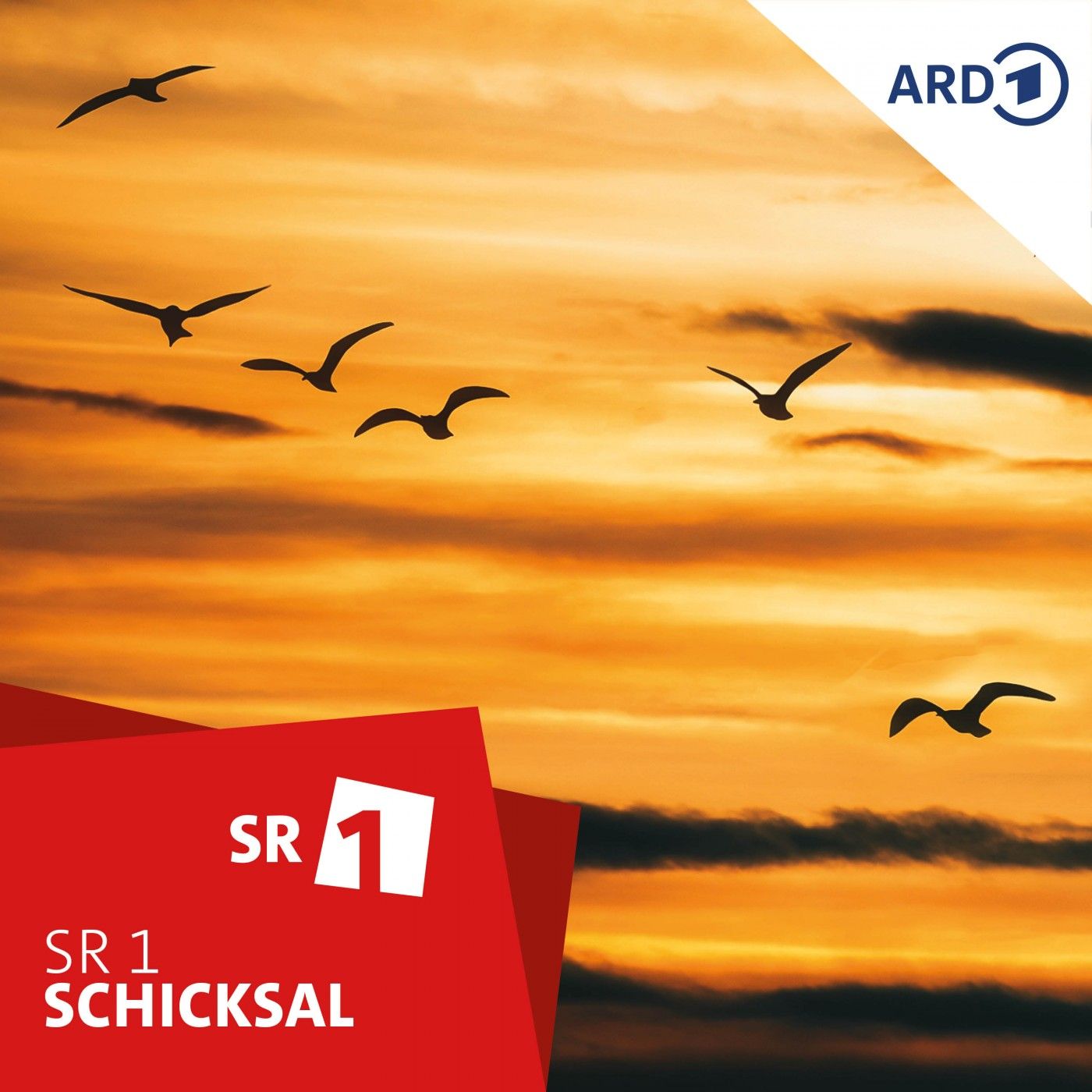 Raus aus der "Sekte" ?!
