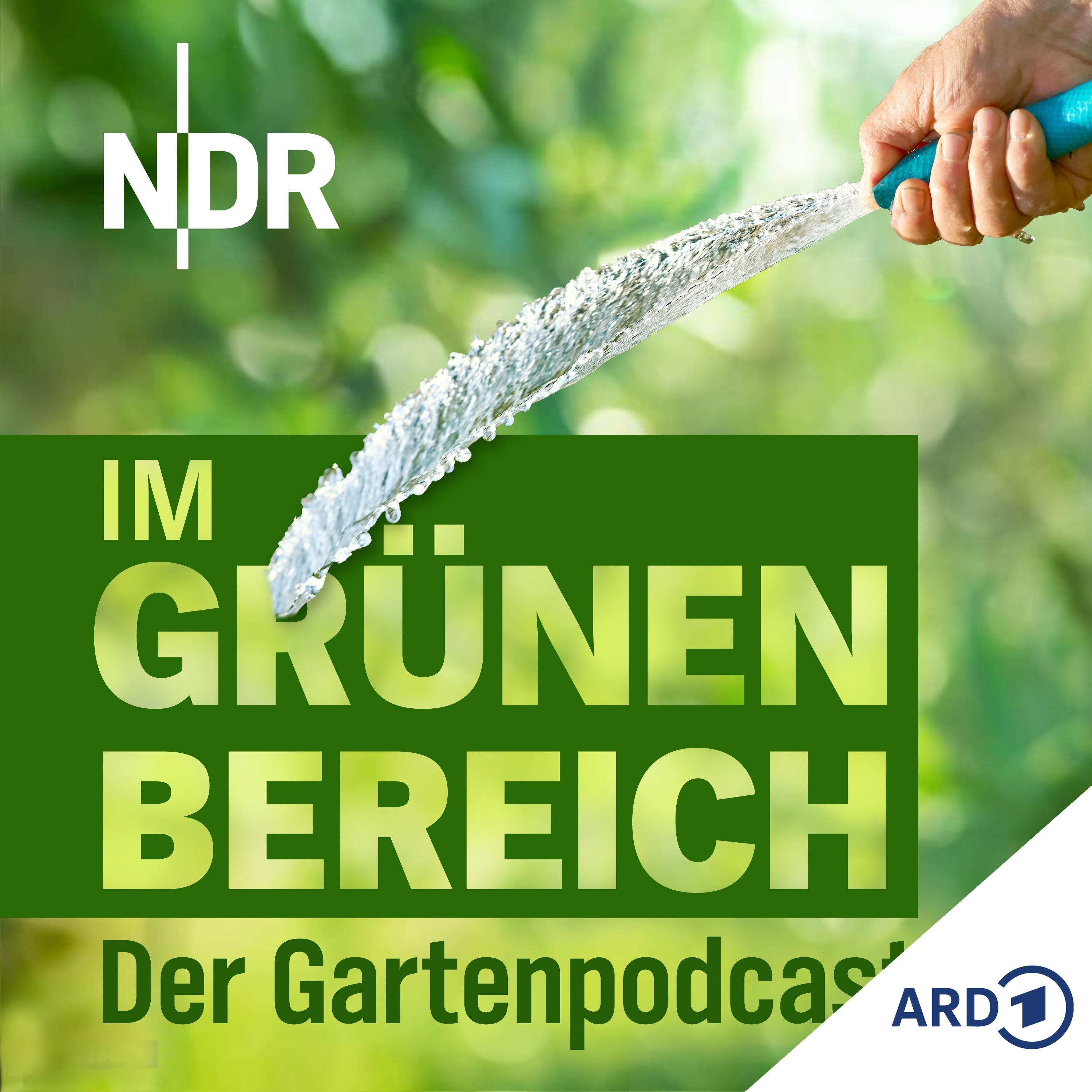 Garten richtig gießen: Tipps für gesunde Pflanzen