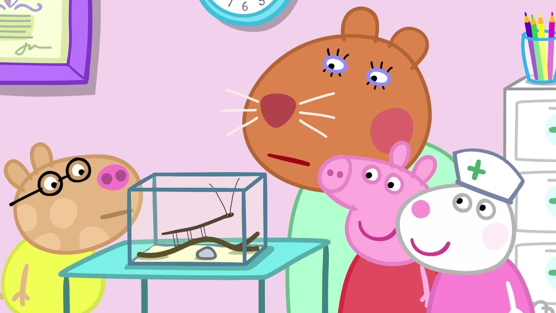 Ein Tag bei Dr. Hamster