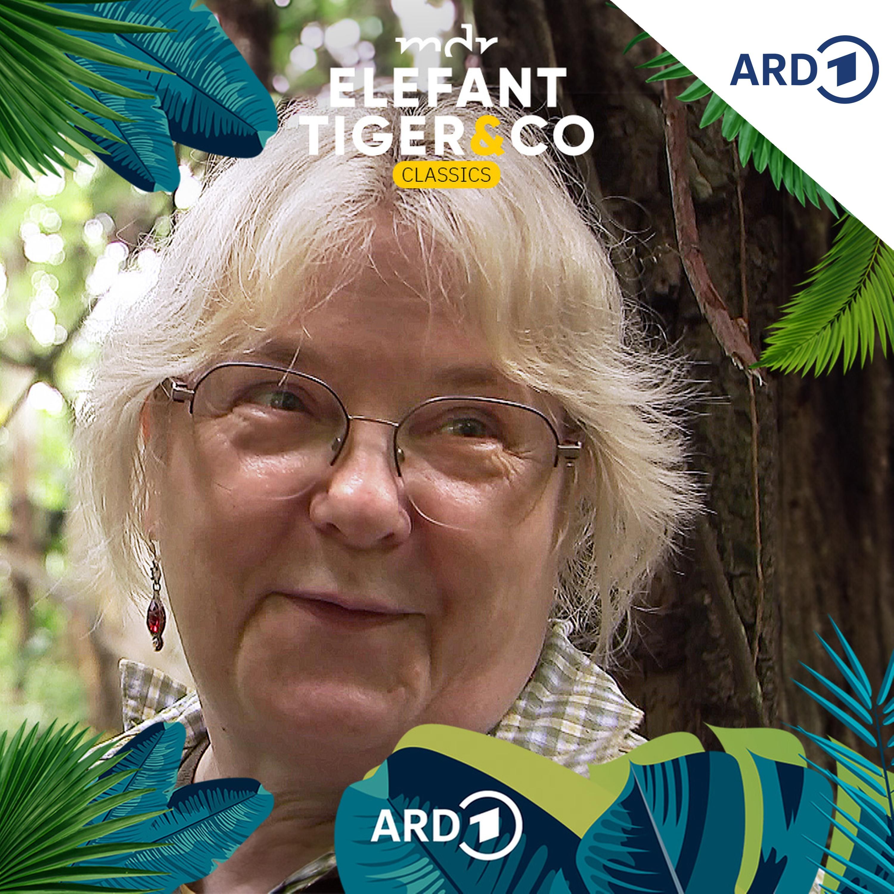 ETC Classics - mit Martina Molch vom Gondwanaland