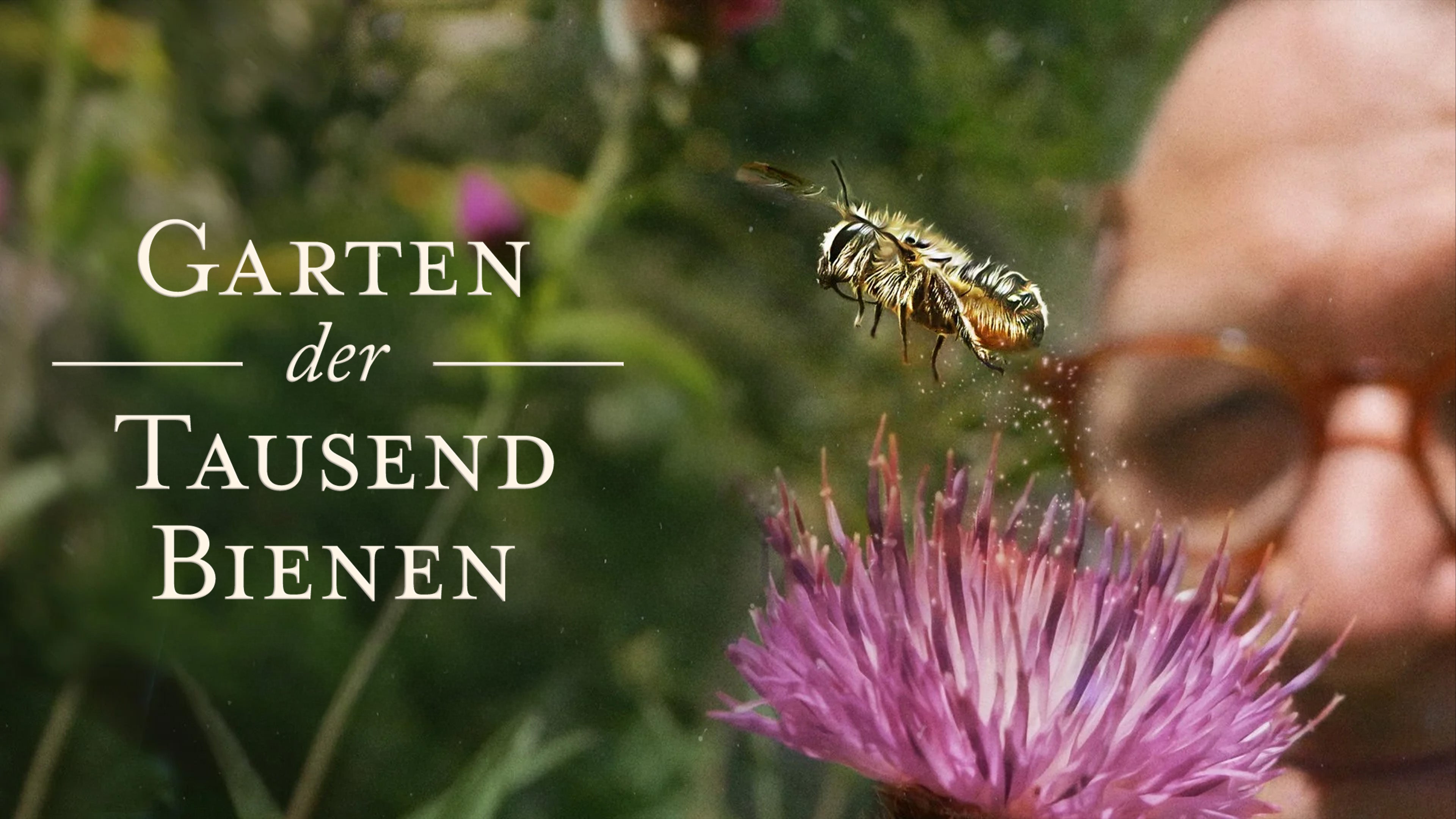 Garten der tausend Bienen