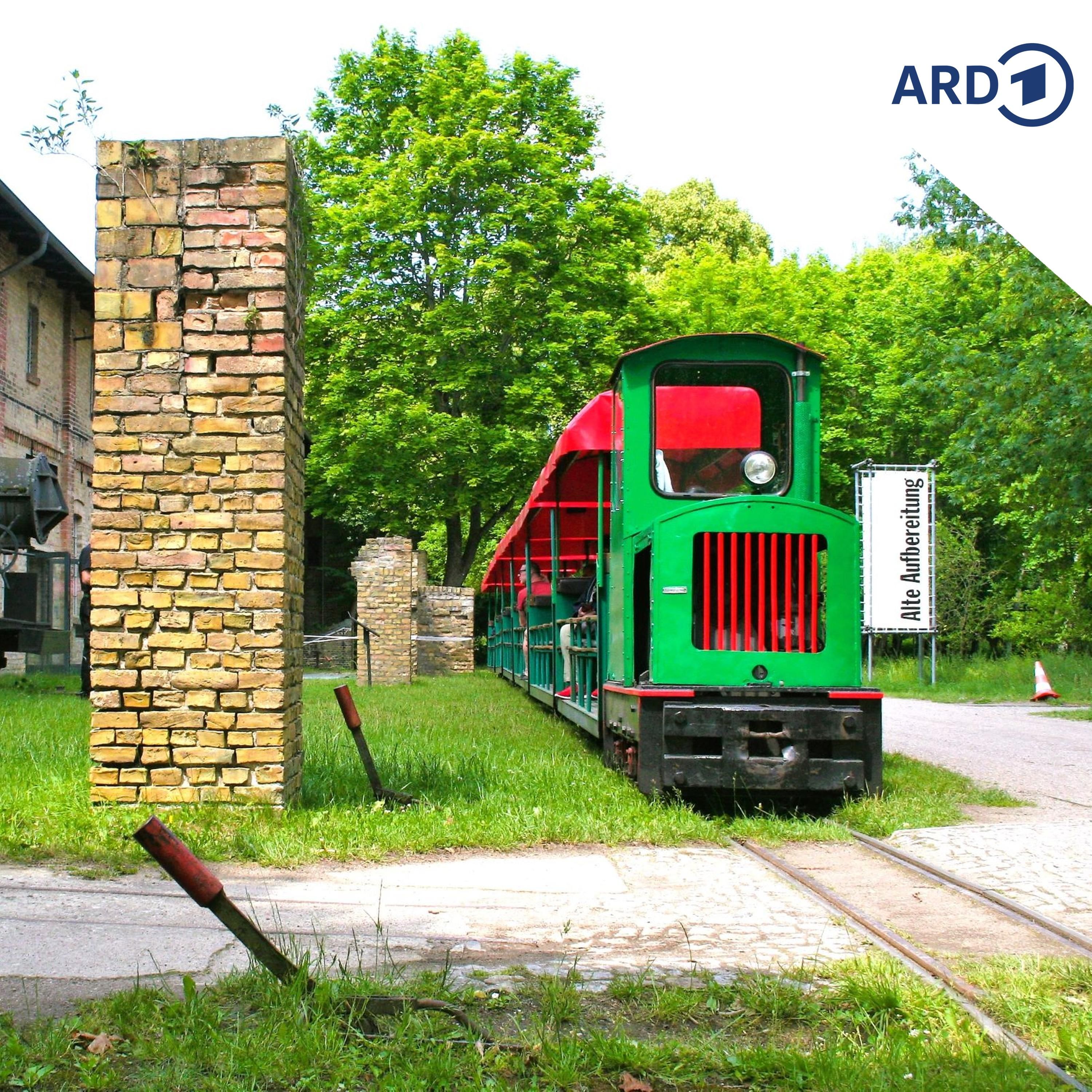 Unterwegs im Backstein-Express - Feldbahnen im einst größten Ziegelei-Revier Europas