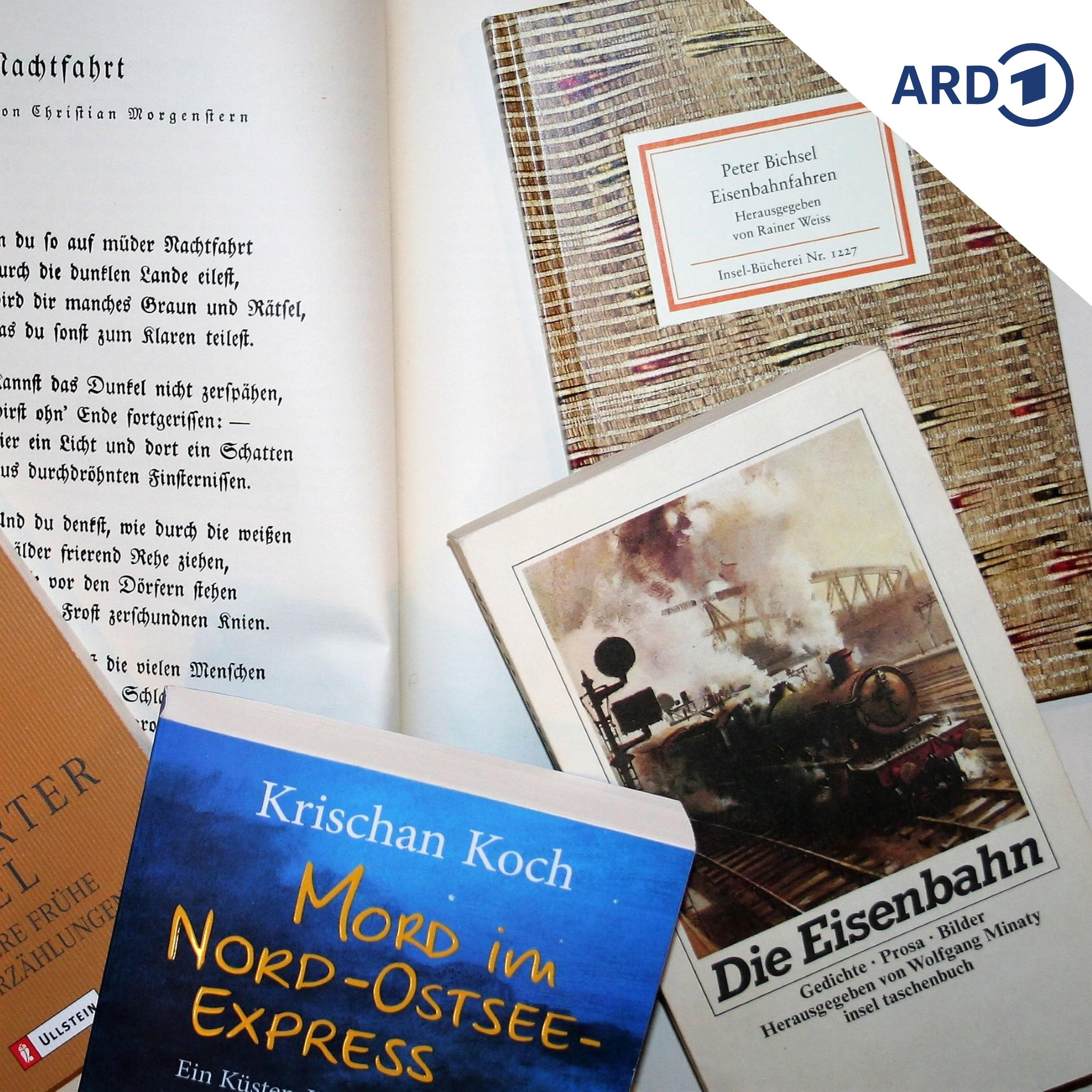 Von Dampfrössern und heulenden Ungeheuern - Eisenbahnen in der Literatur