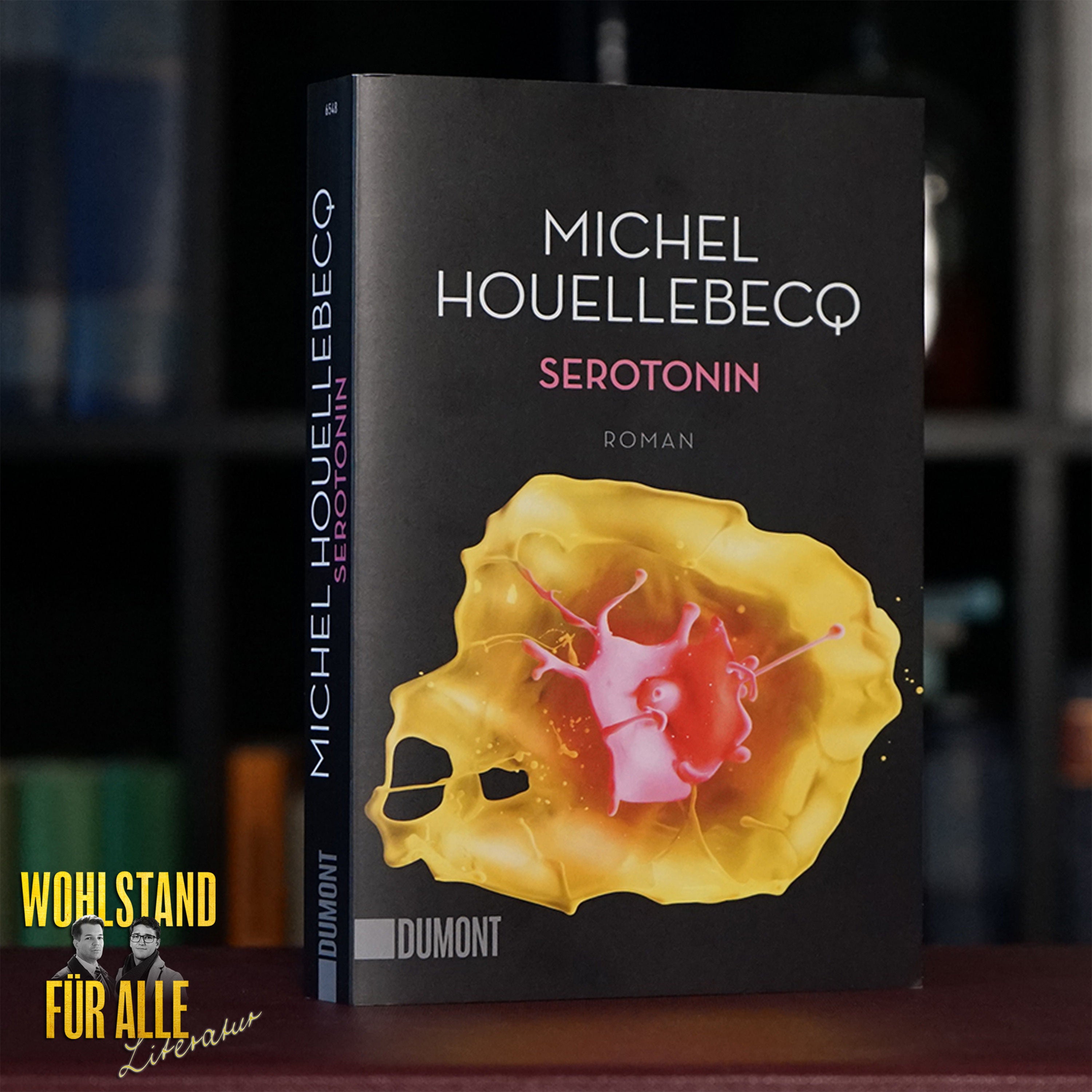 SEROTONIN: Michel Houellebecqs düsterster Roman