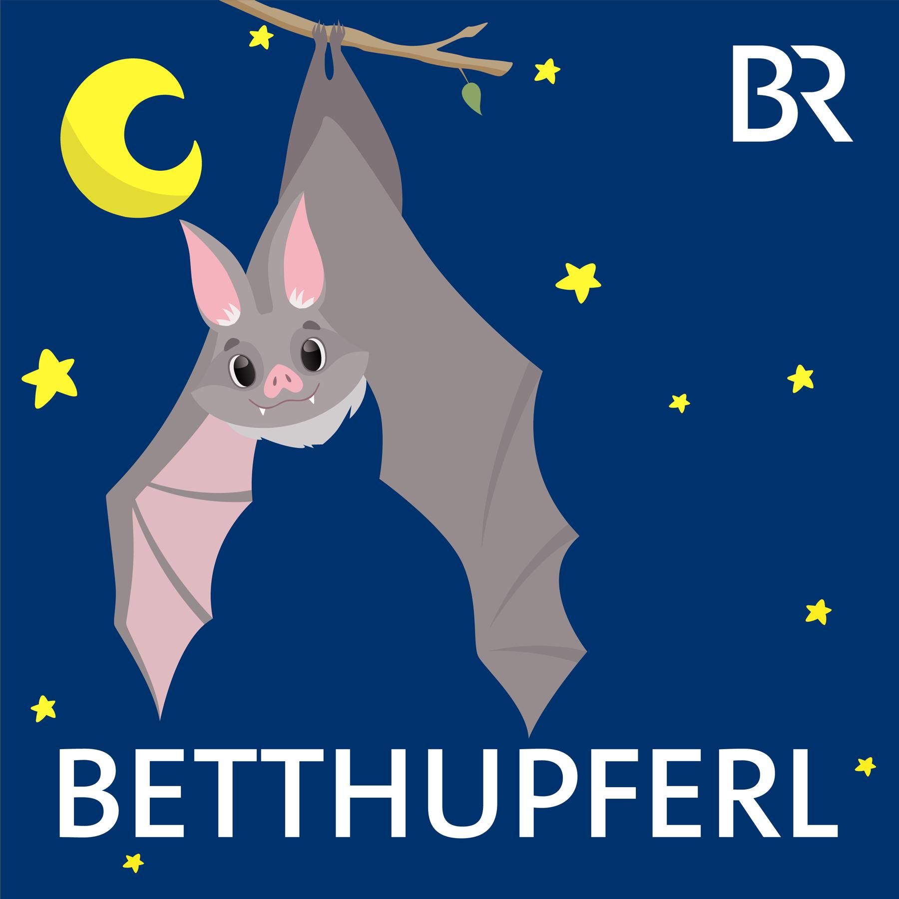 Beppo, die Burgfledermaus: Und die Spinne | Eine Gute-Nacht-Geschichte ab 5 Jahren / Mundart Mittelfranken