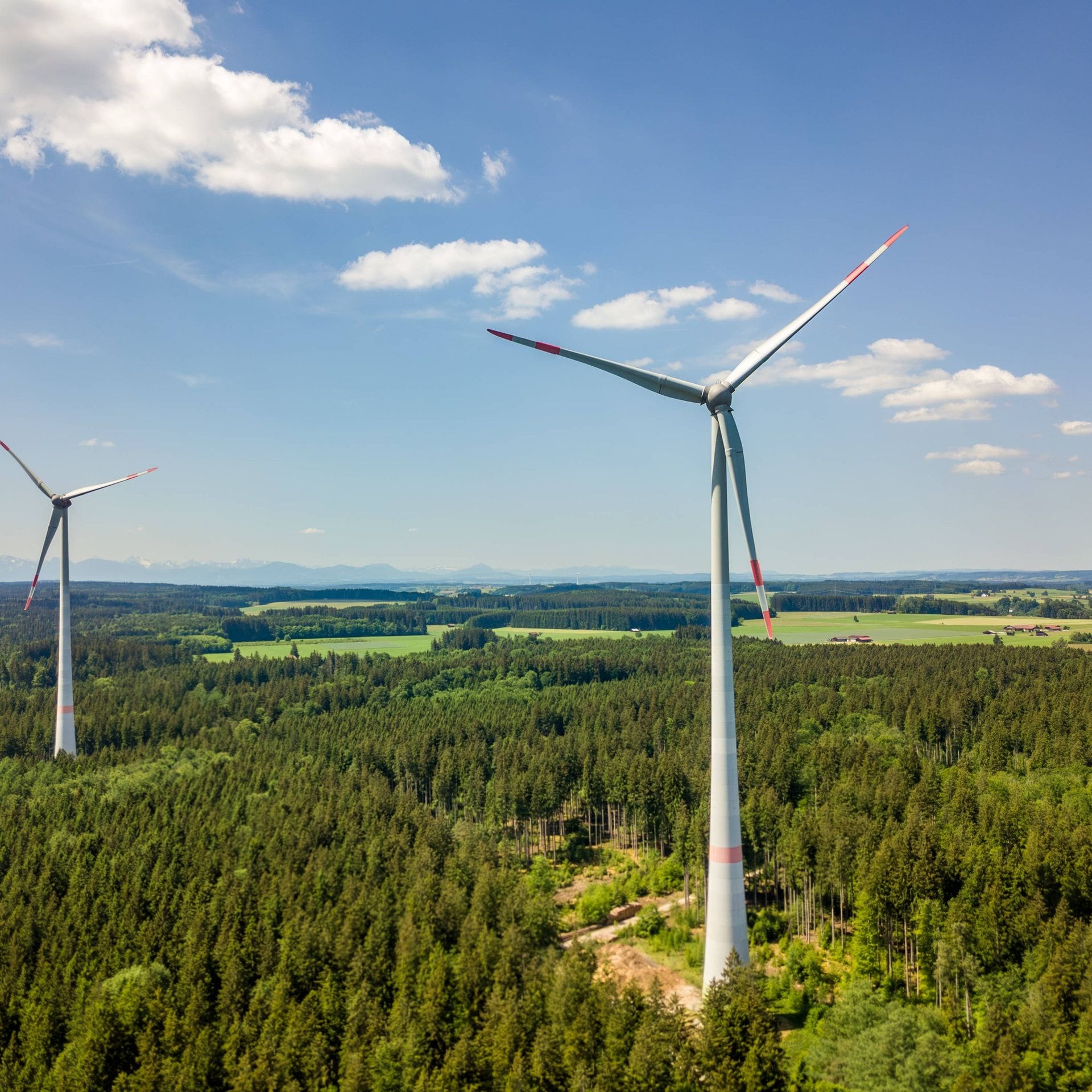 Wie viele Windräder verträgt der Wald?