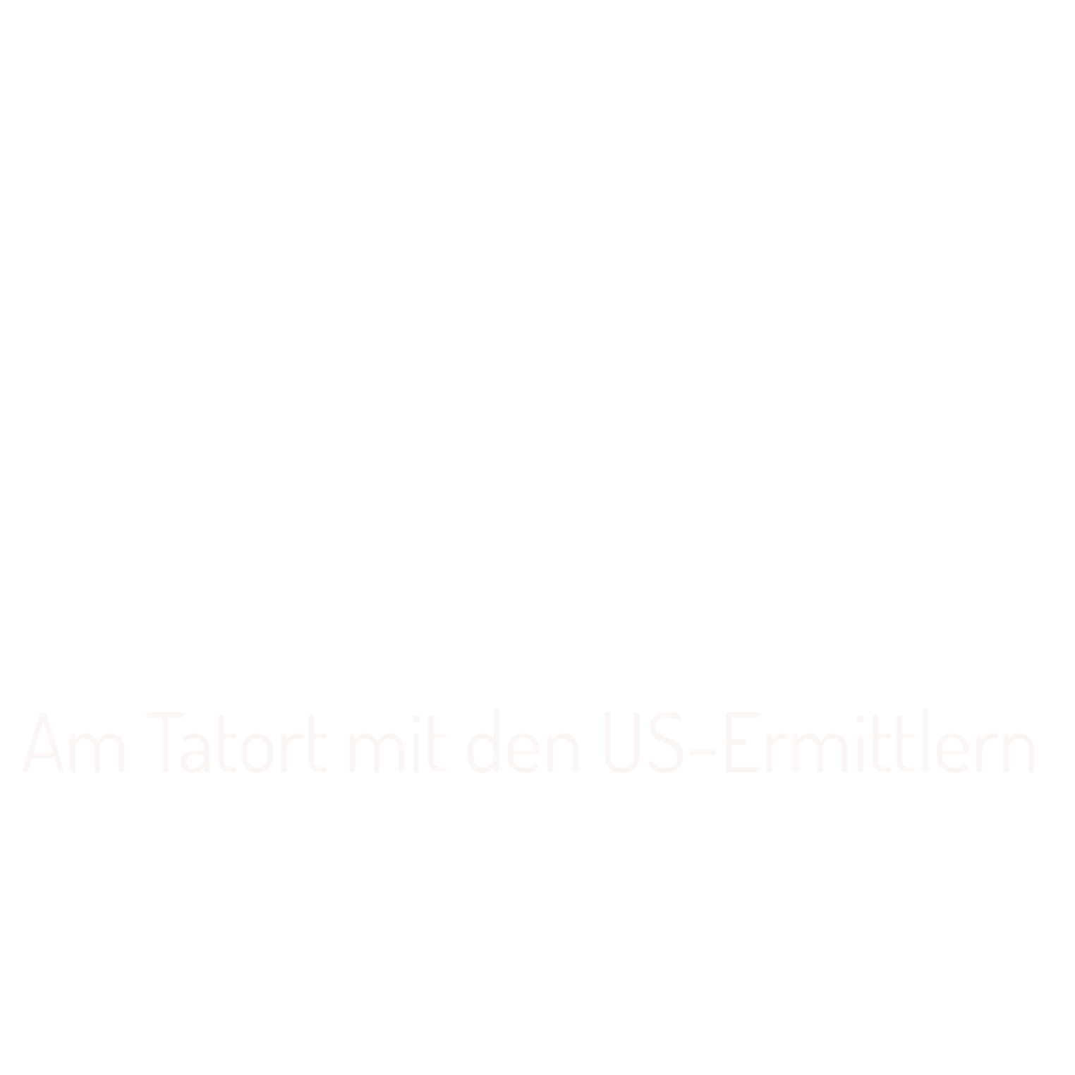First 48 - Am Tatort mit den US-Ermittlern
