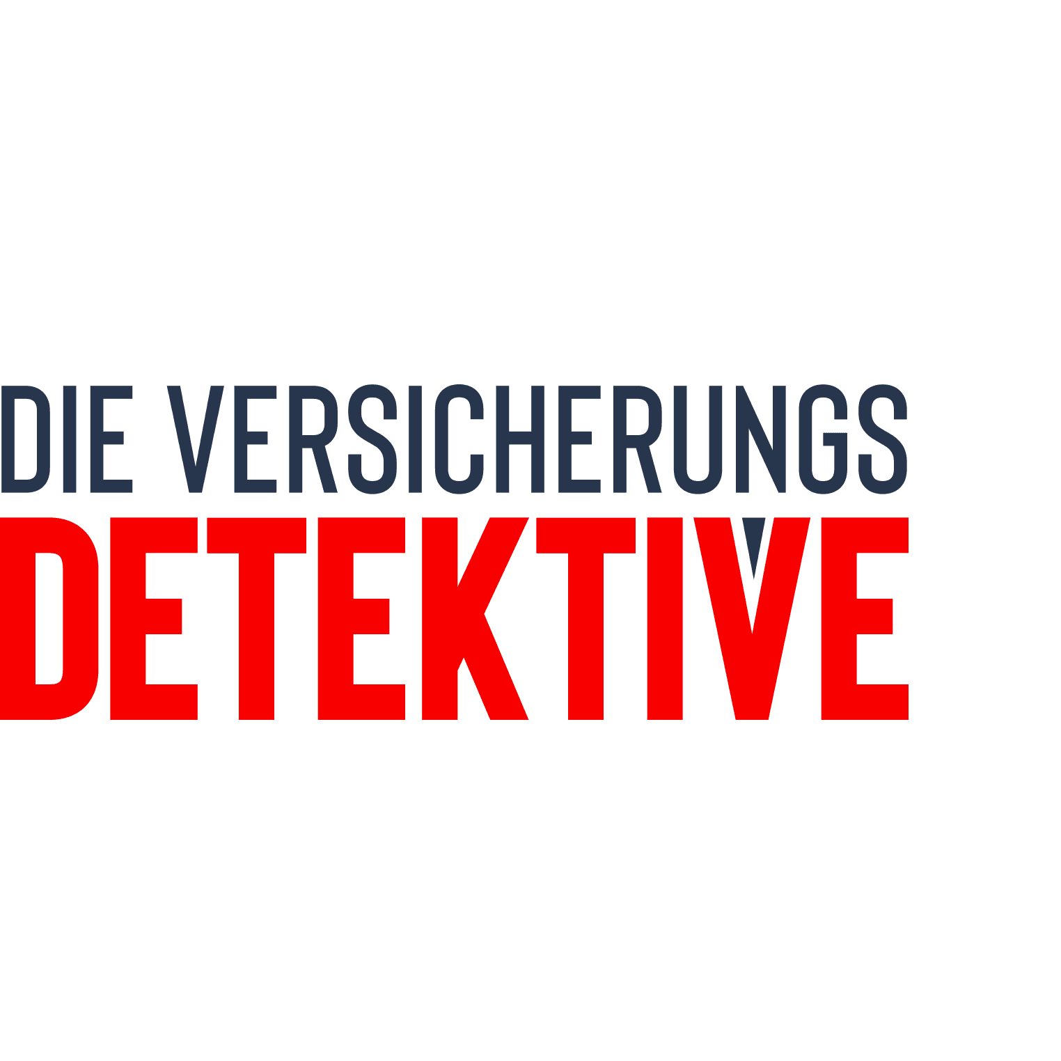 Die Versicherungsdetektive