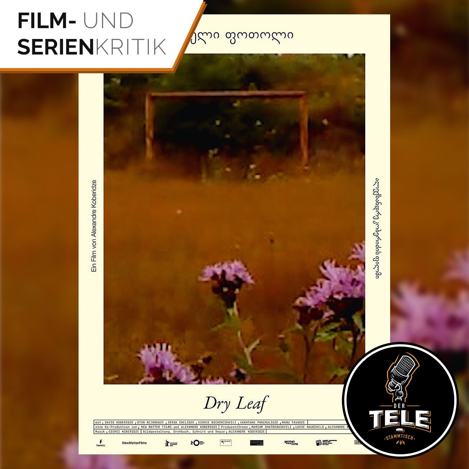 Dry Leaf | Rätselhafte Spurensuche – Ein visuell außergewöhnliches Roadmovie über Verlust und Wahrnehmung