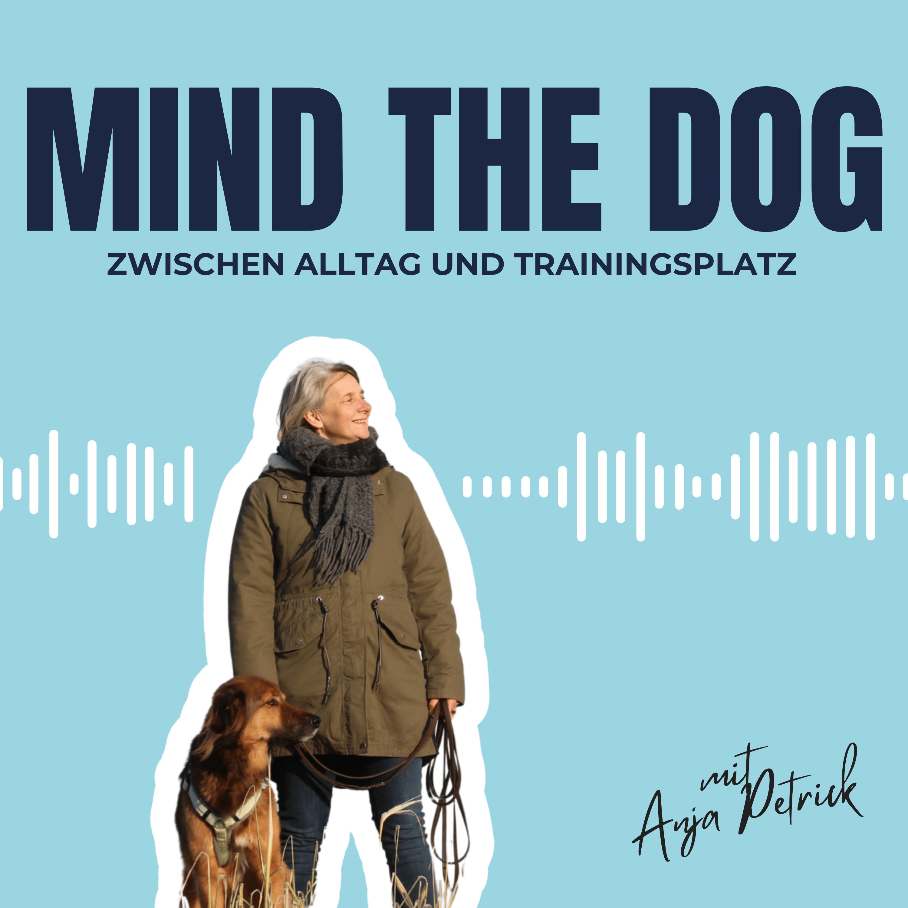 22 - Plan B für deinen Hund. Die Hundekita feat. Tom Münch