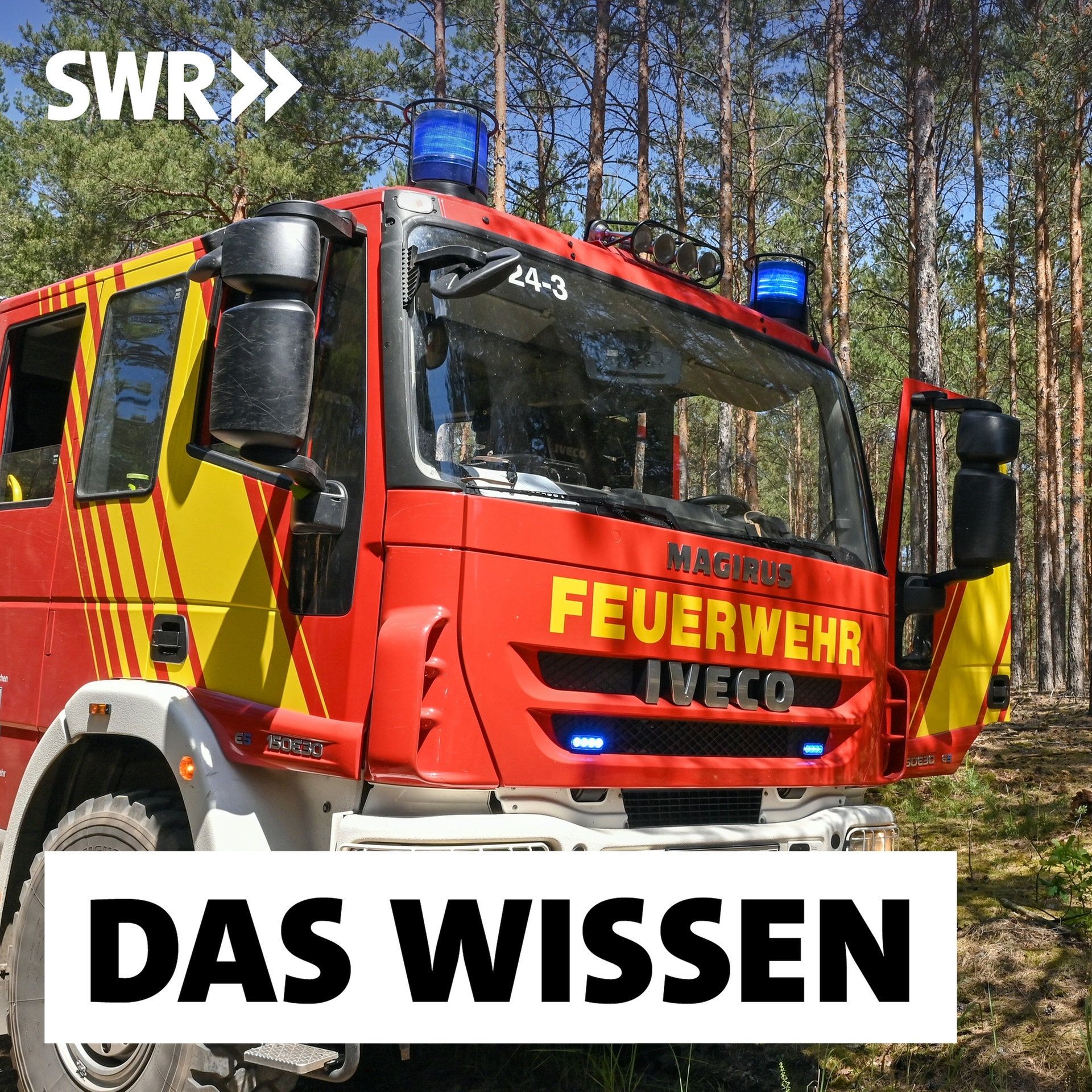 Waldbrände verhindern – Feuerresistente Baumarten und neue Technik