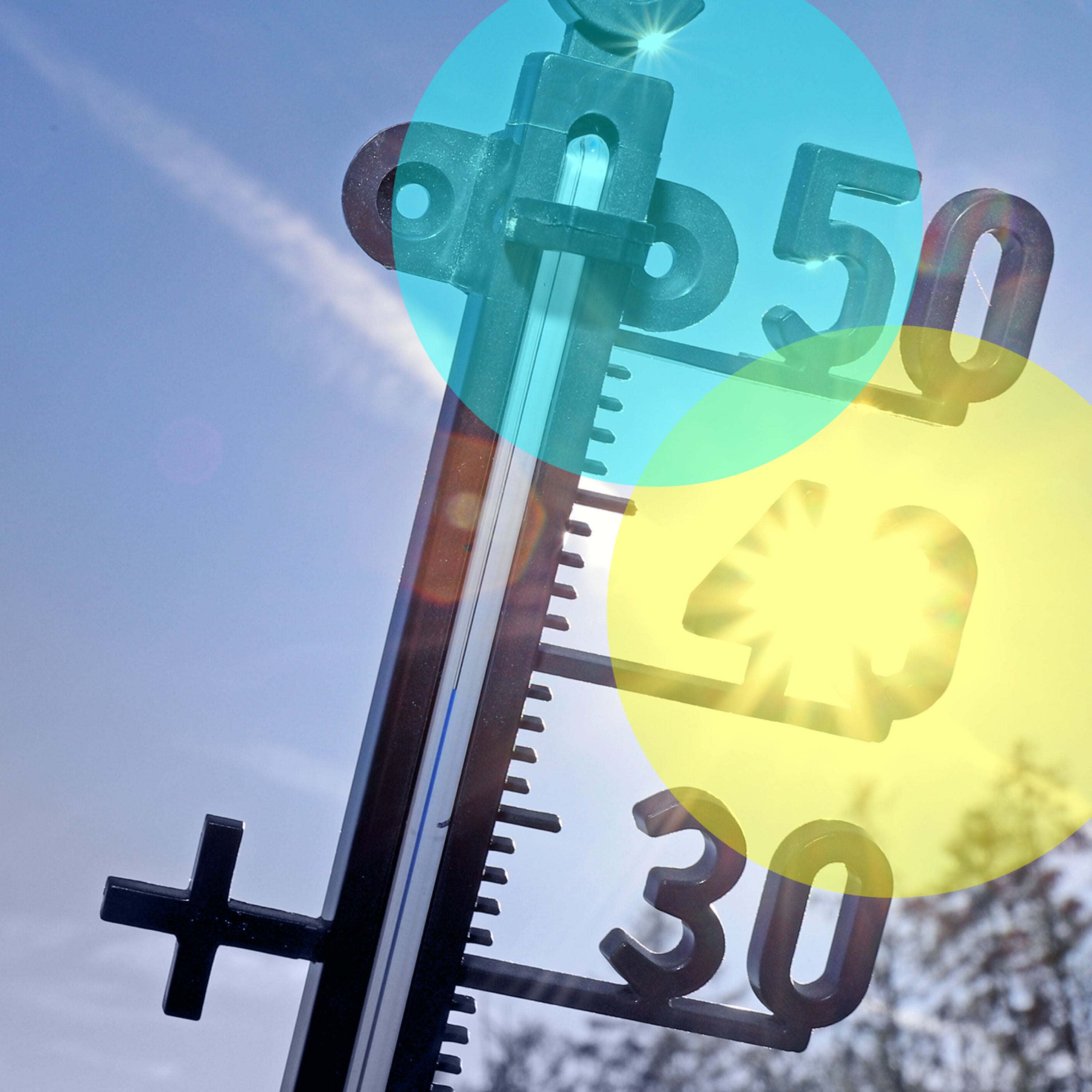 Hitze ohne Ende: Müssen wir den Sommer fürchten?