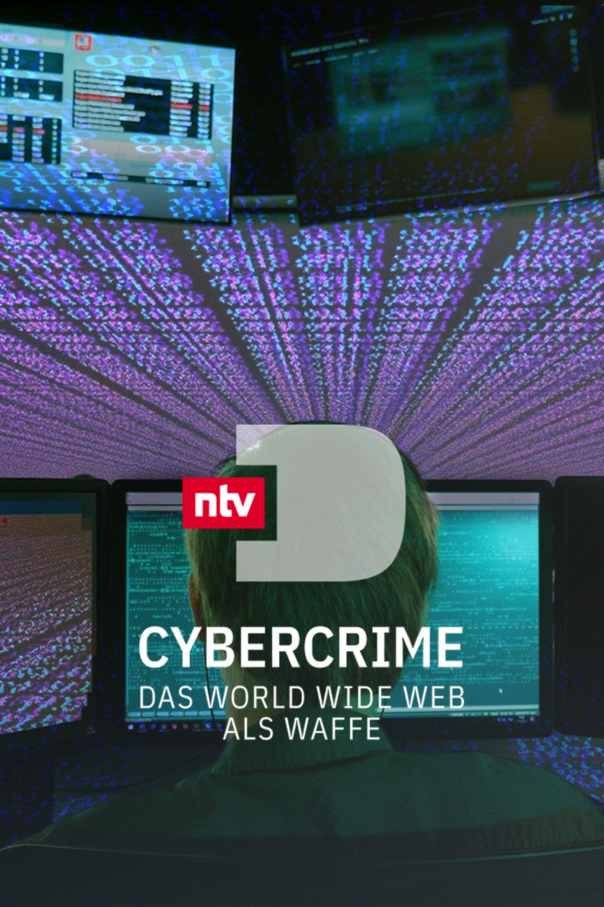 Cybercrime - Das World Wide Web als Waffe