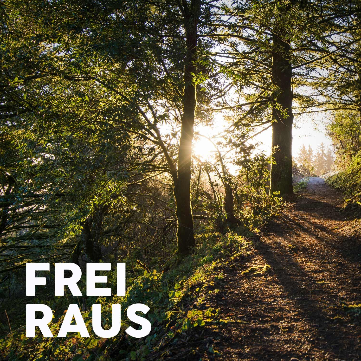 Mehr Resonanz, weniger Bildschirm – wer geht mit mir los?