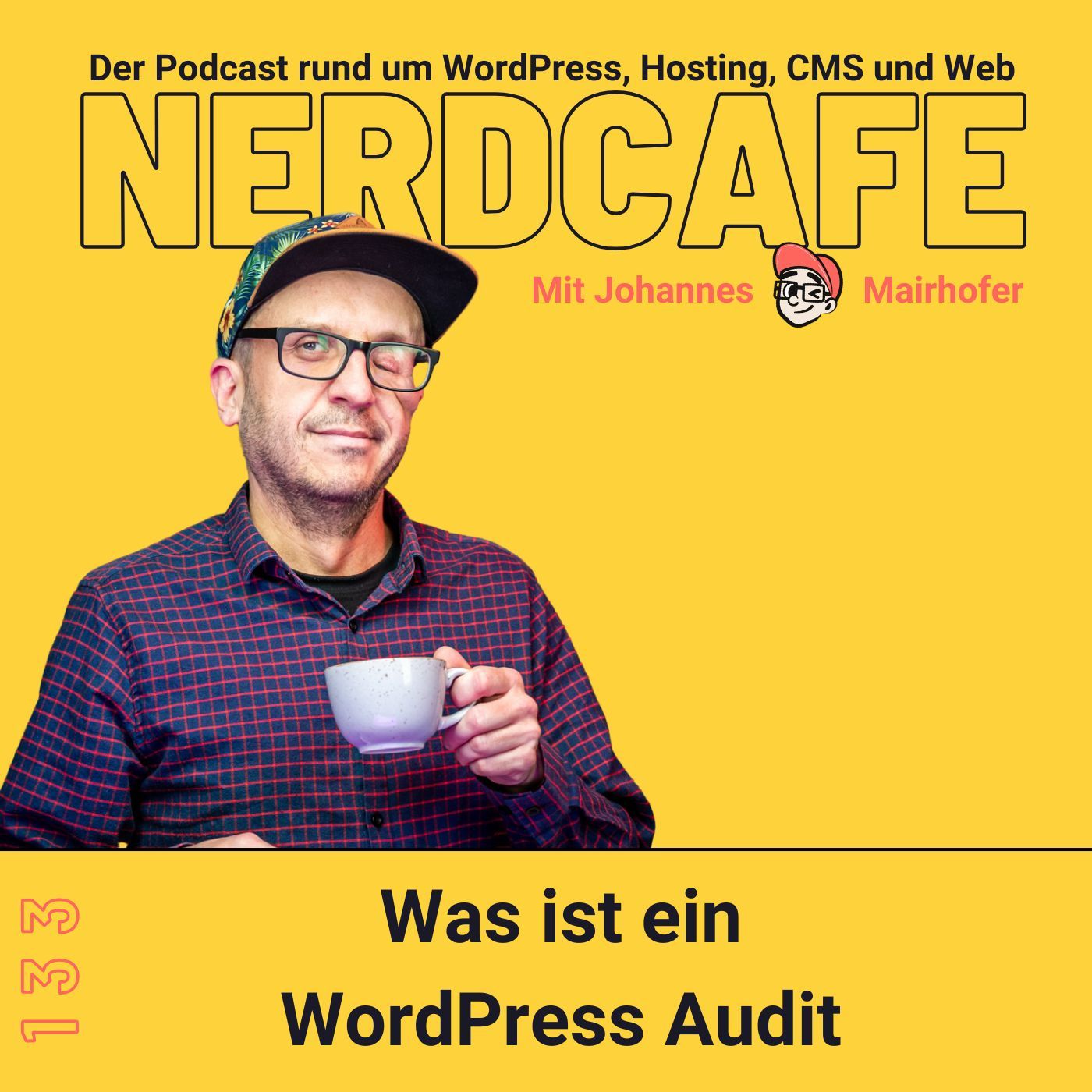 133 - Was ist ein WordPress Audit