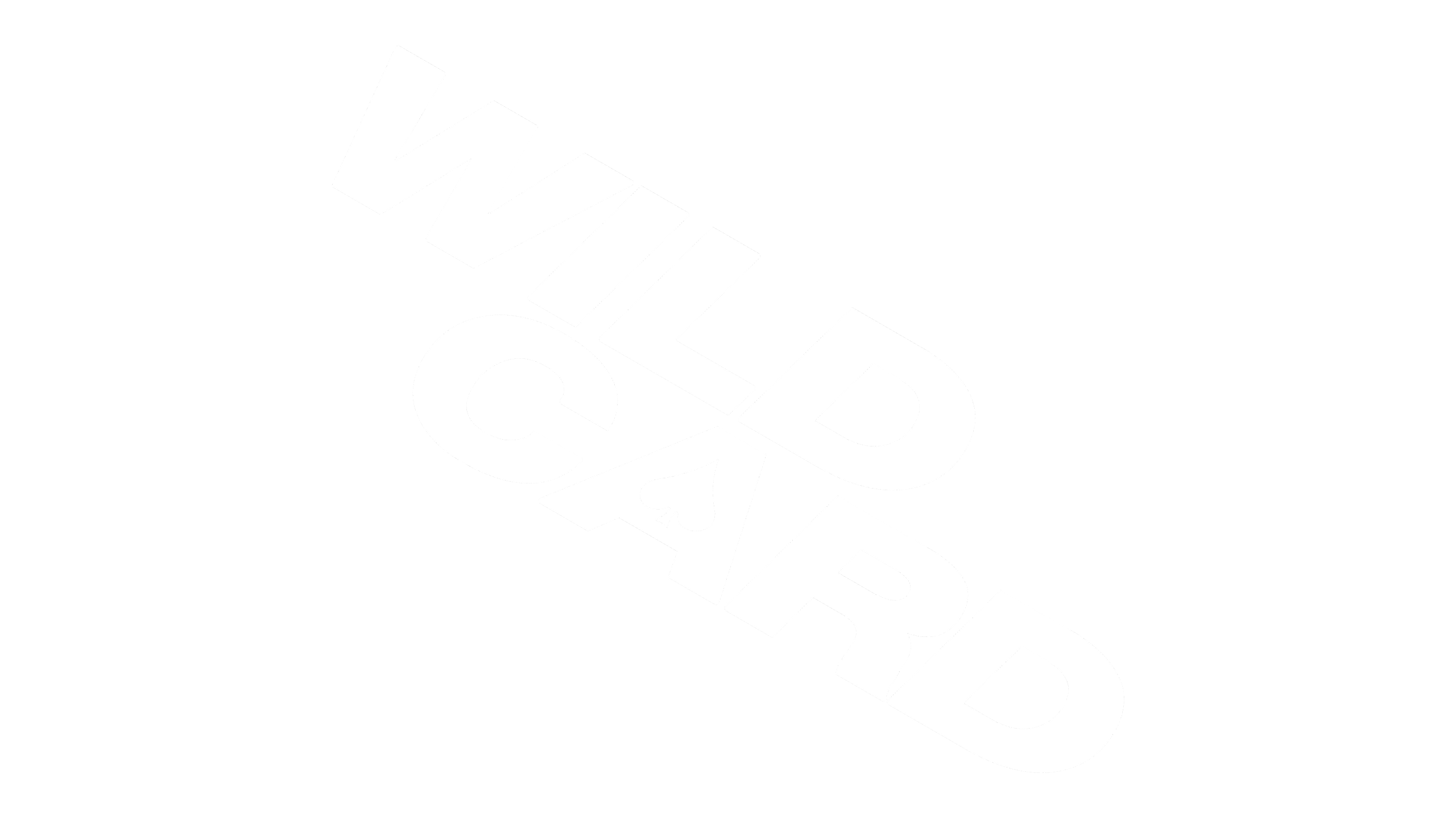 Wild Card