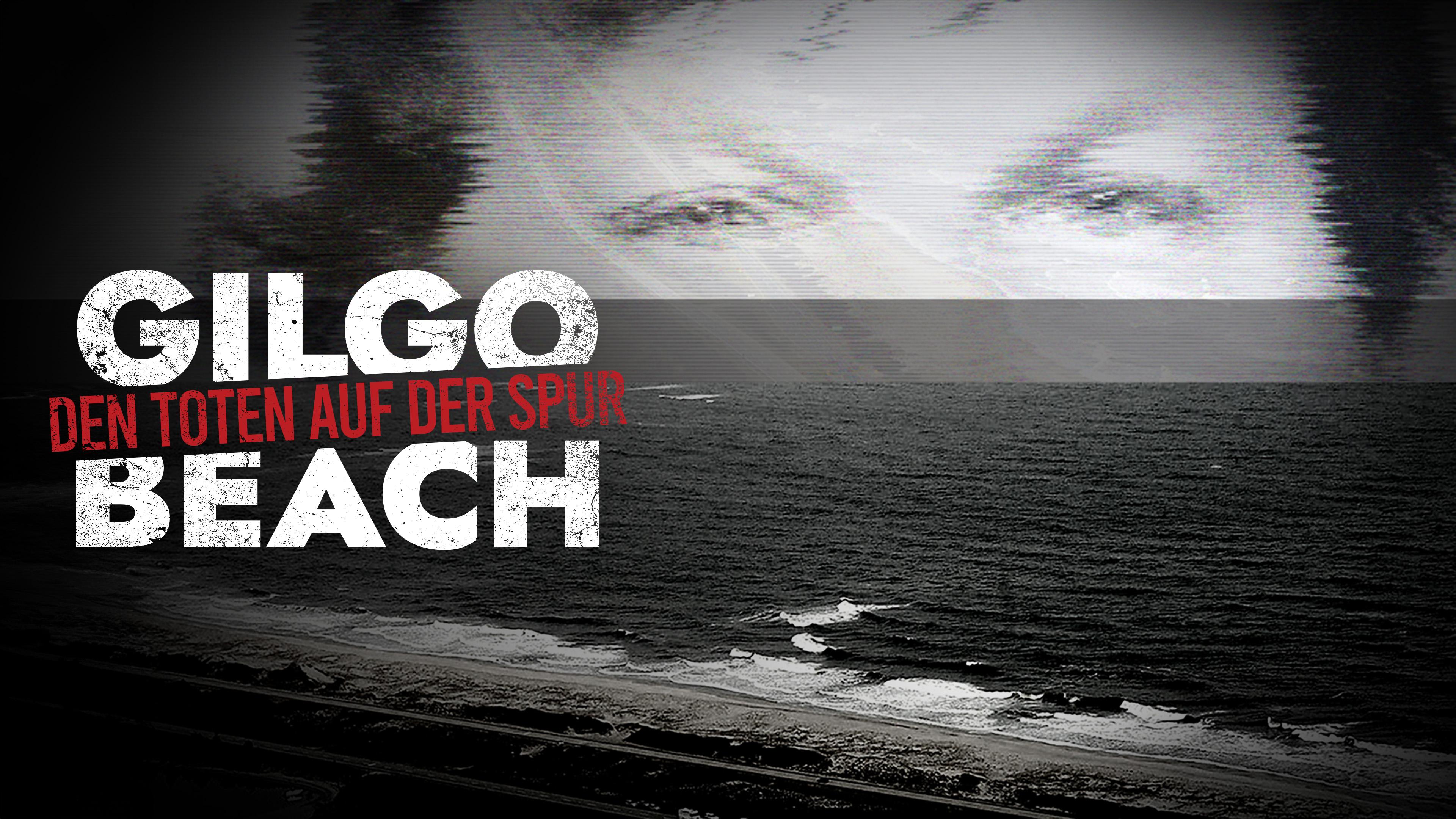 Gilgo Beach - Den Toten auf der Spur
