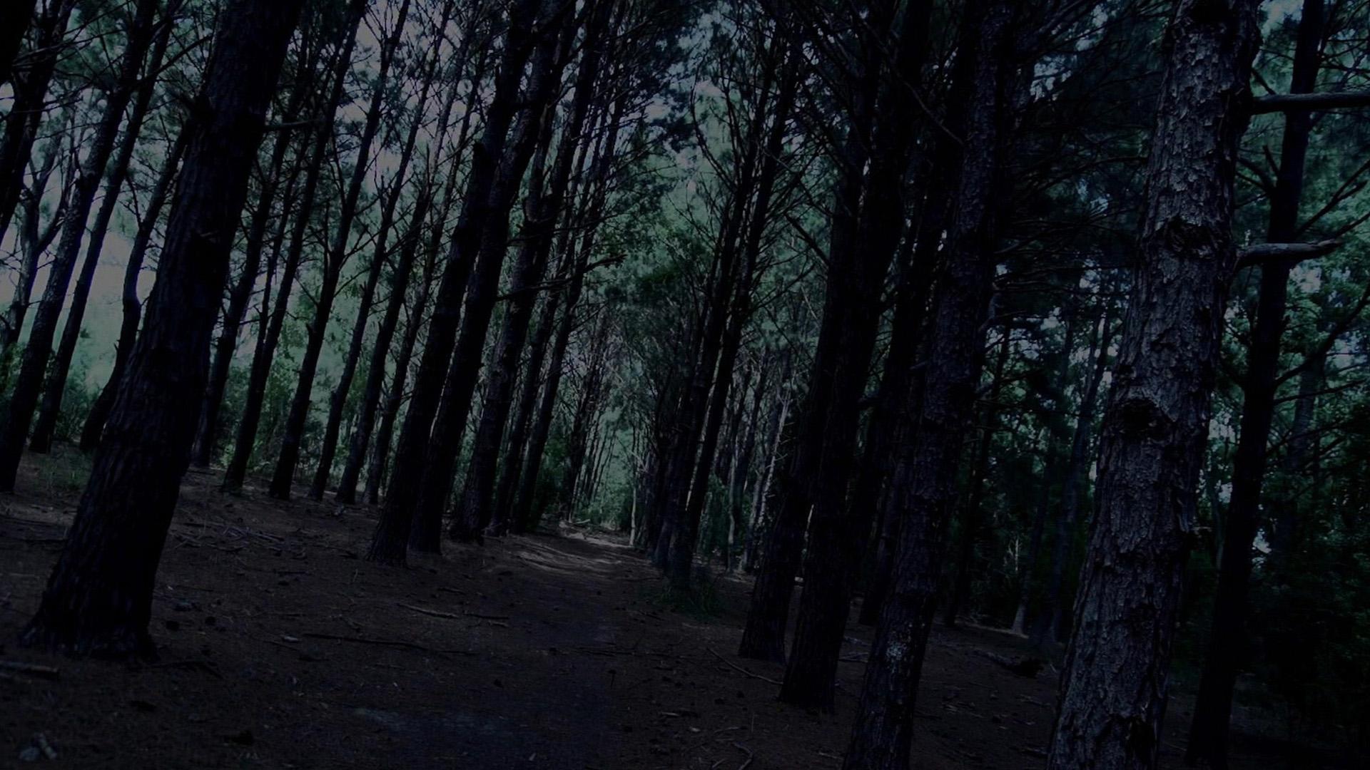 Eine Leiche im Wald