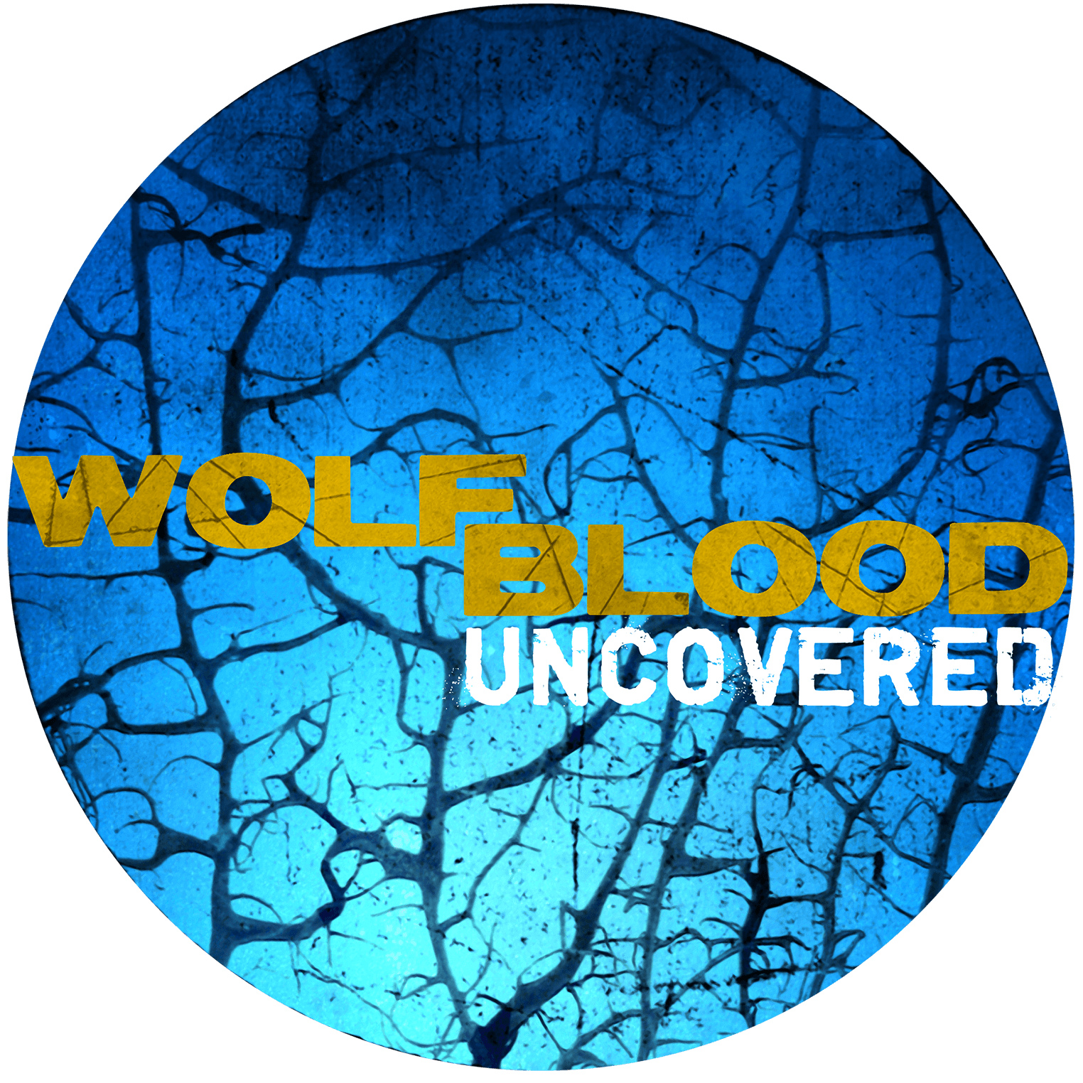 Wolfblood Entschlüsselt