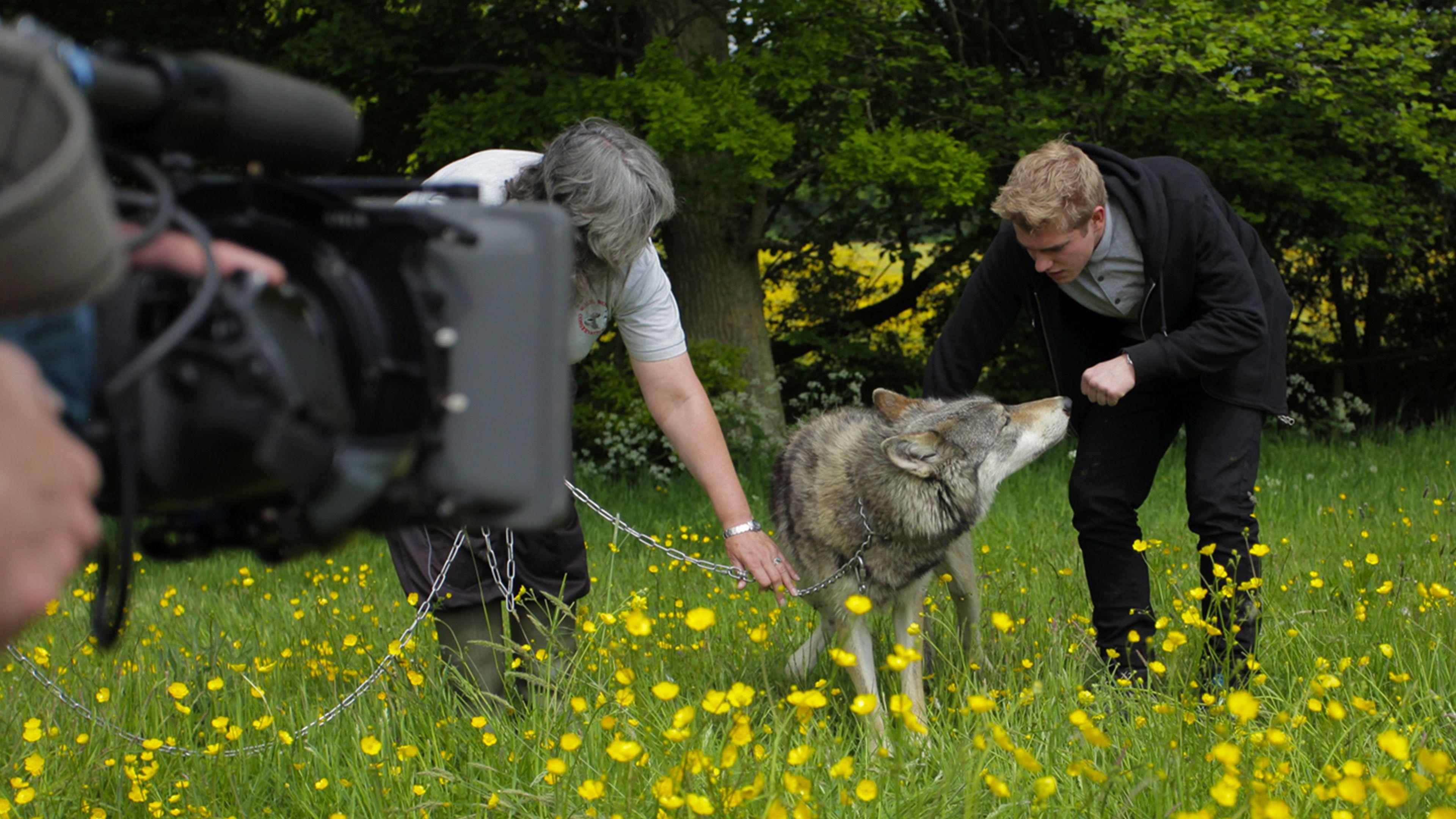 Wolfblood Entschlüsselt