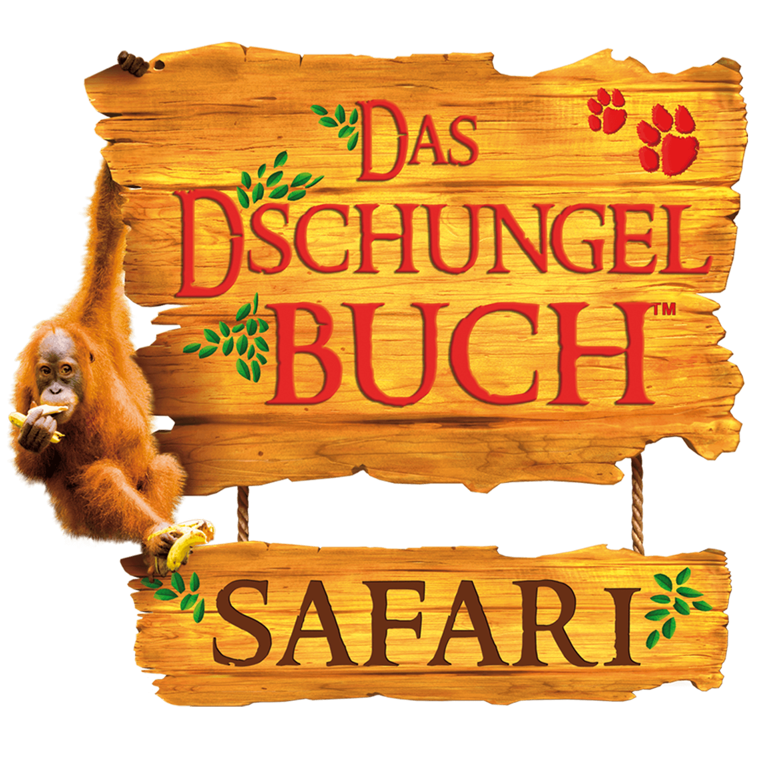 Dschungelbuch Tier-Magazin